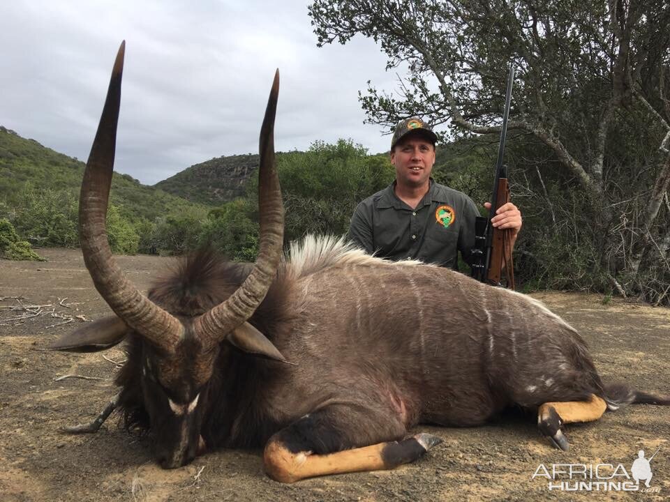 Nyala Hunt South Africa