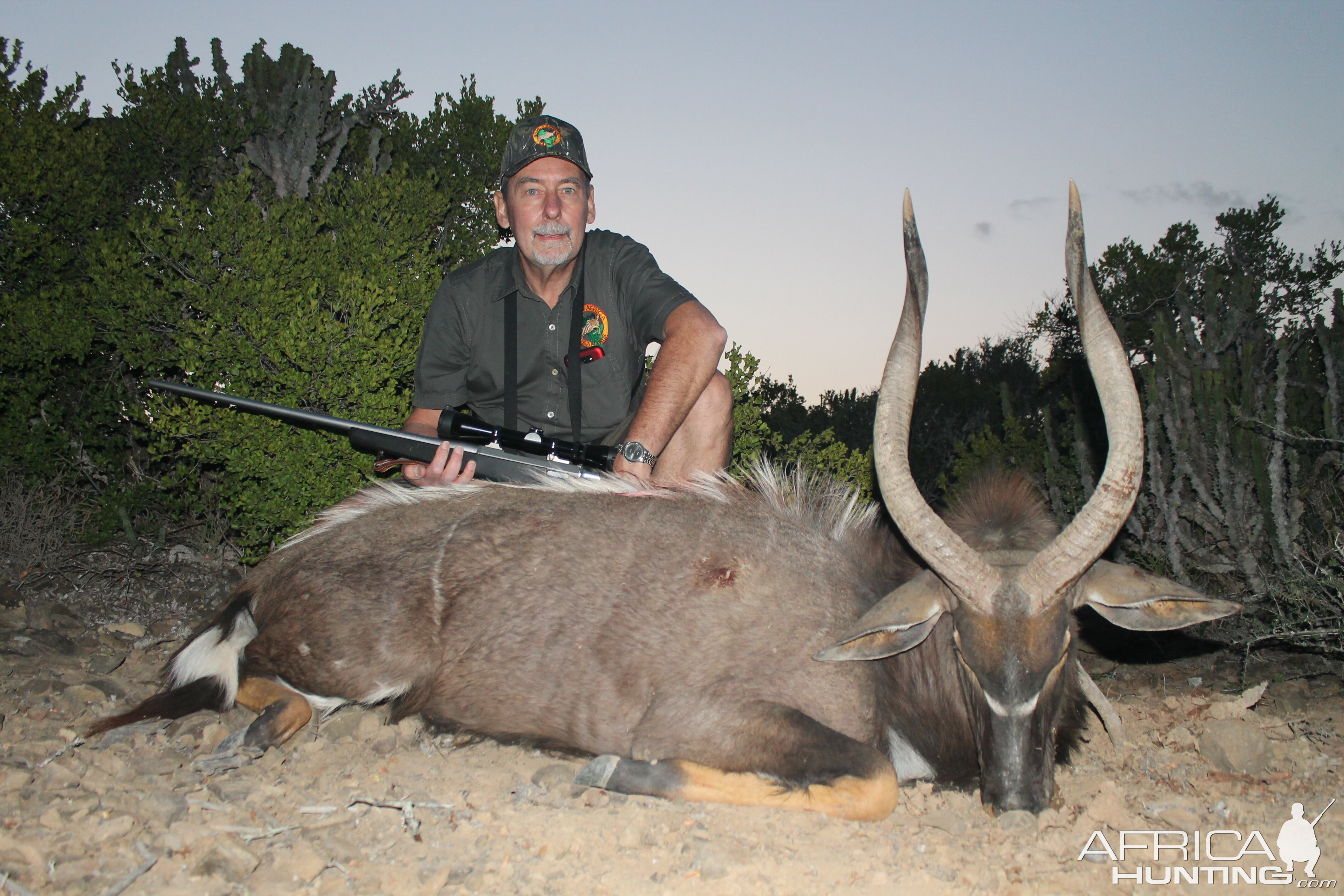 Nyala Hunt South Africa