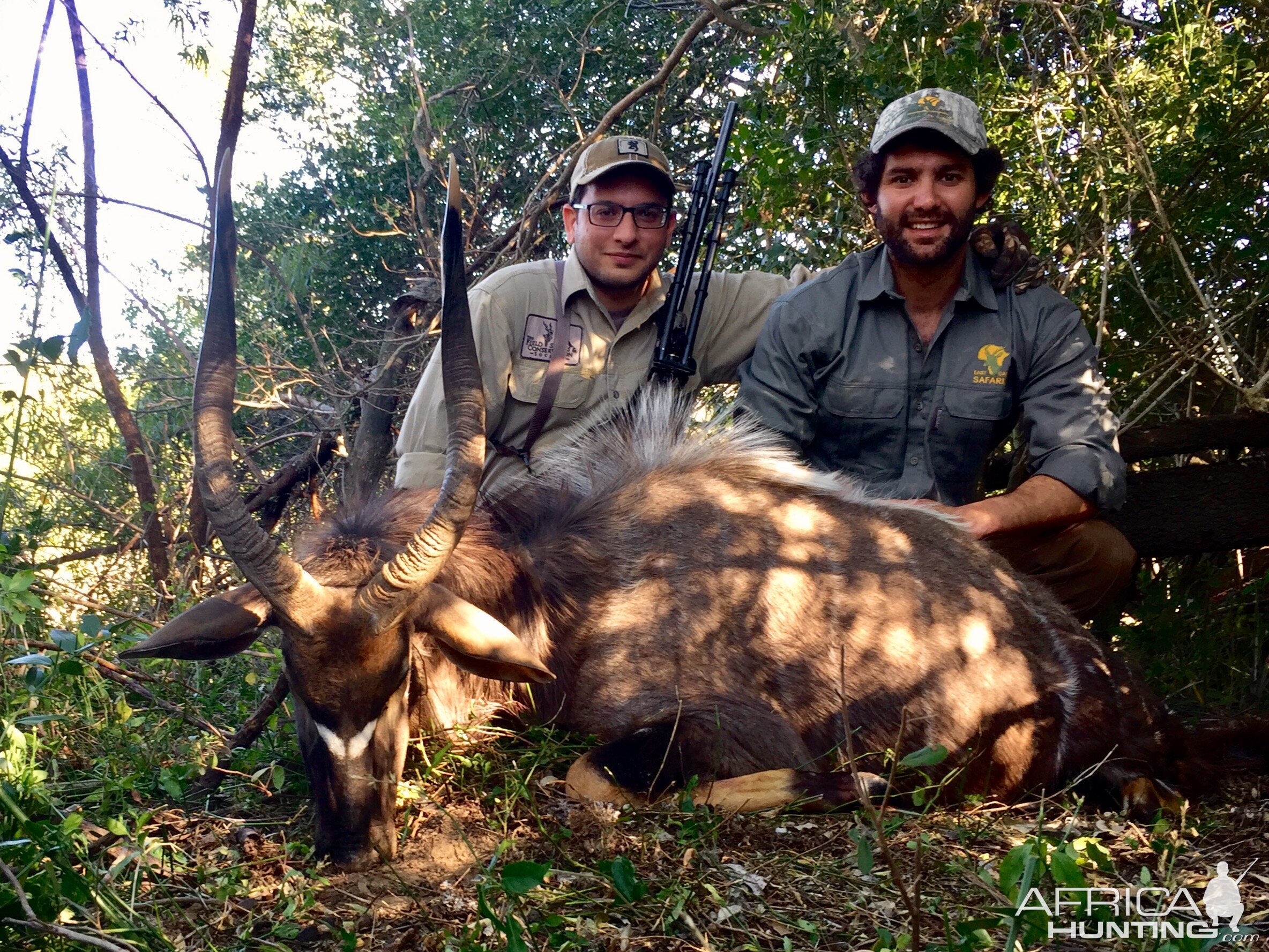 Nyala Hunt South Africa