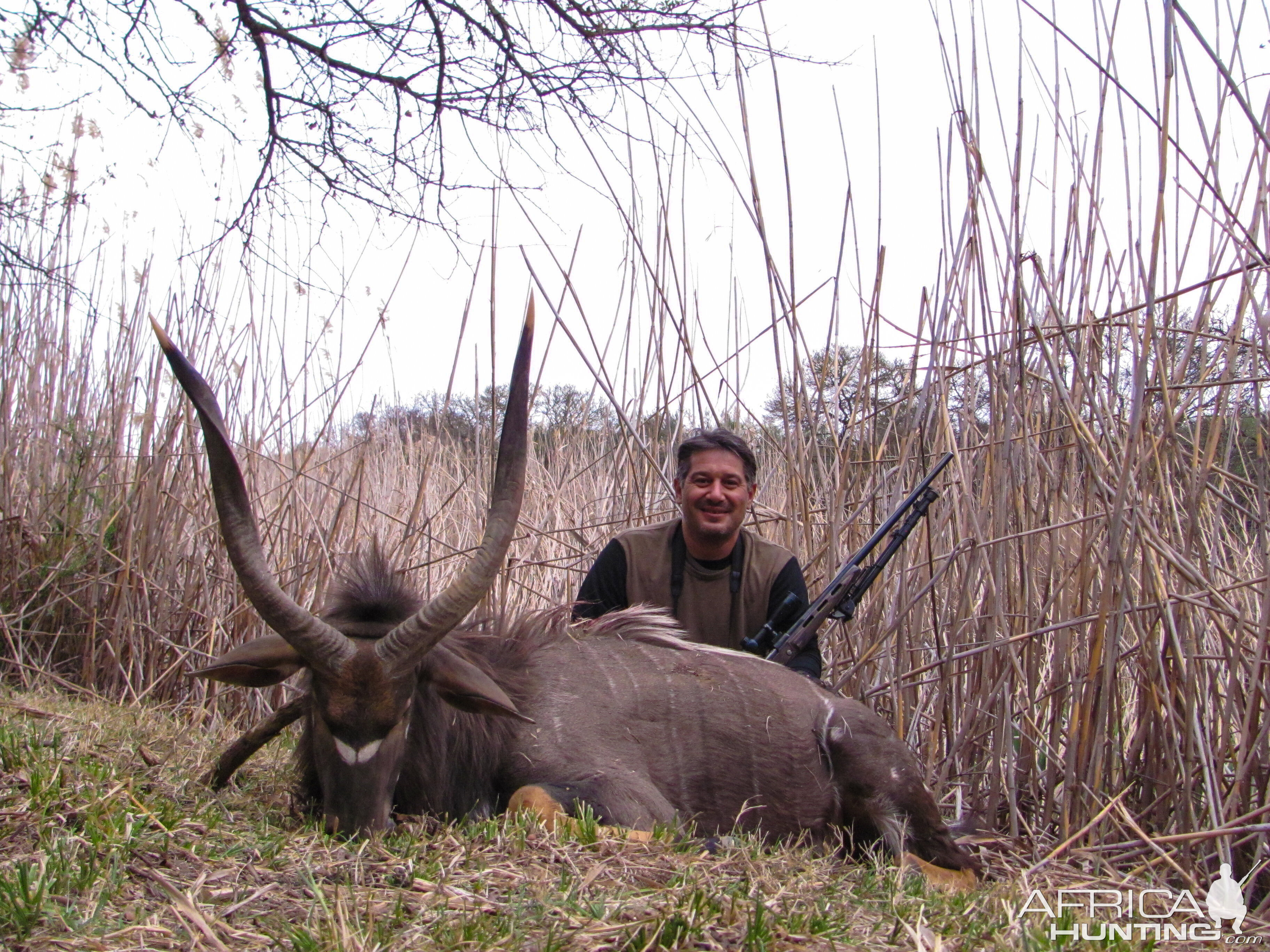 Nyala Hunt South Africa