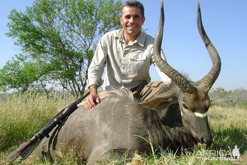 Nyala Hunt South Africa