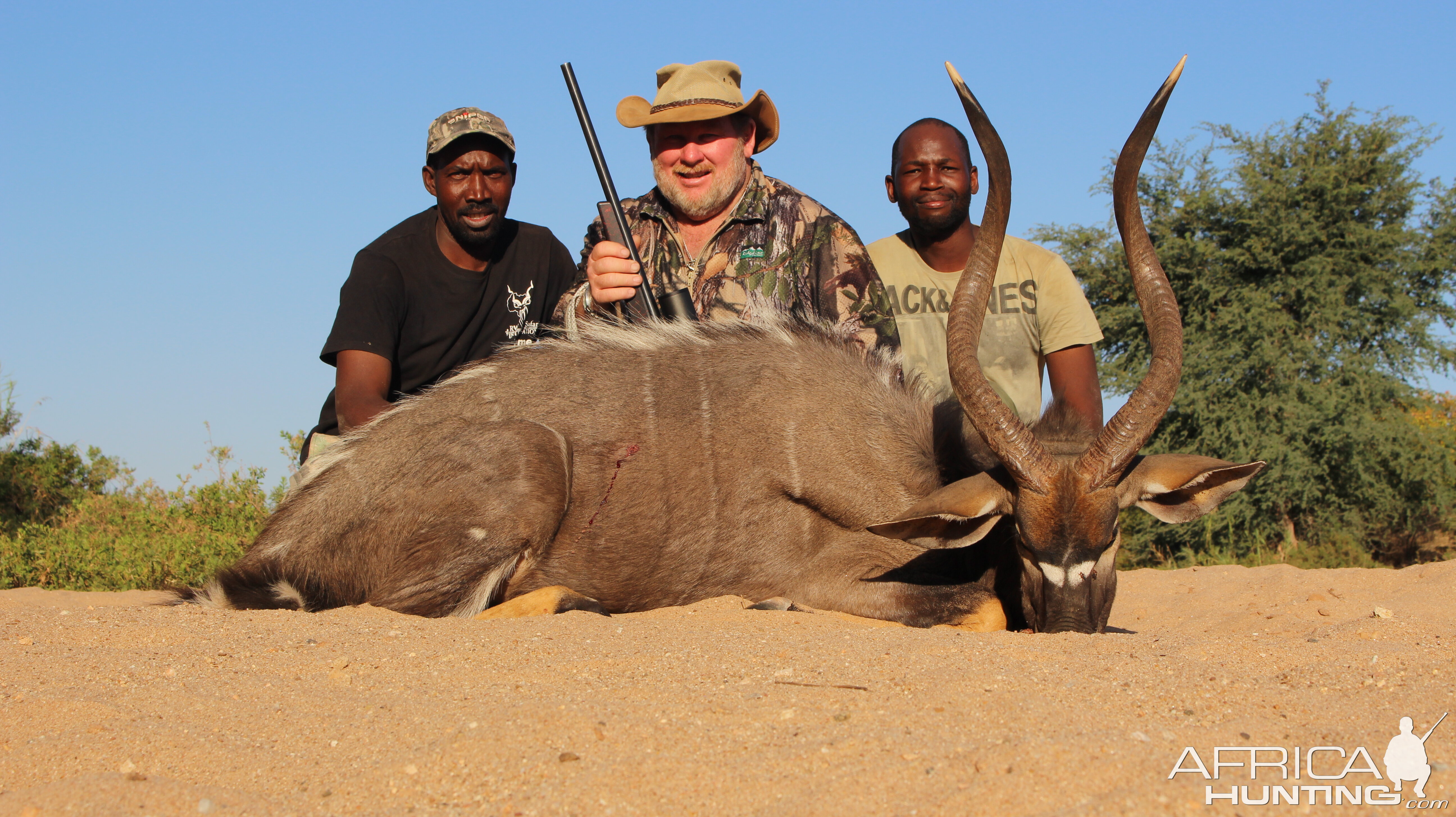 Nyala Hunt South Africa