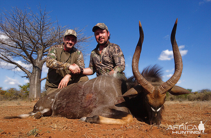 Nyala Hunt South Africa