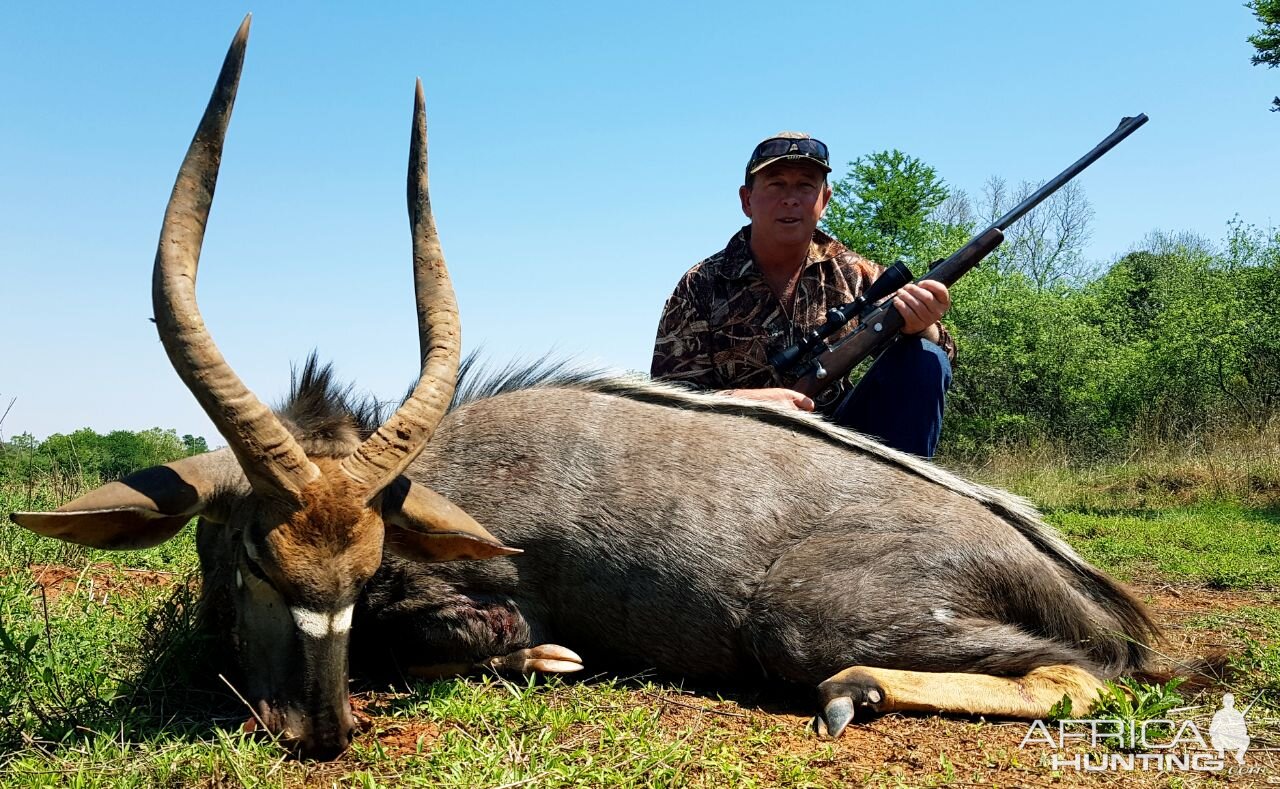 Nyala Hunt South Africa