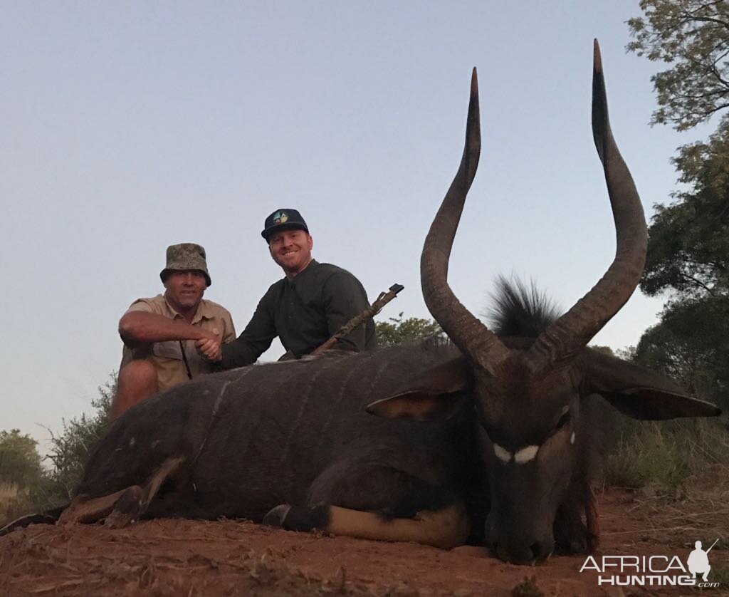 Nyala Hunt South Africa