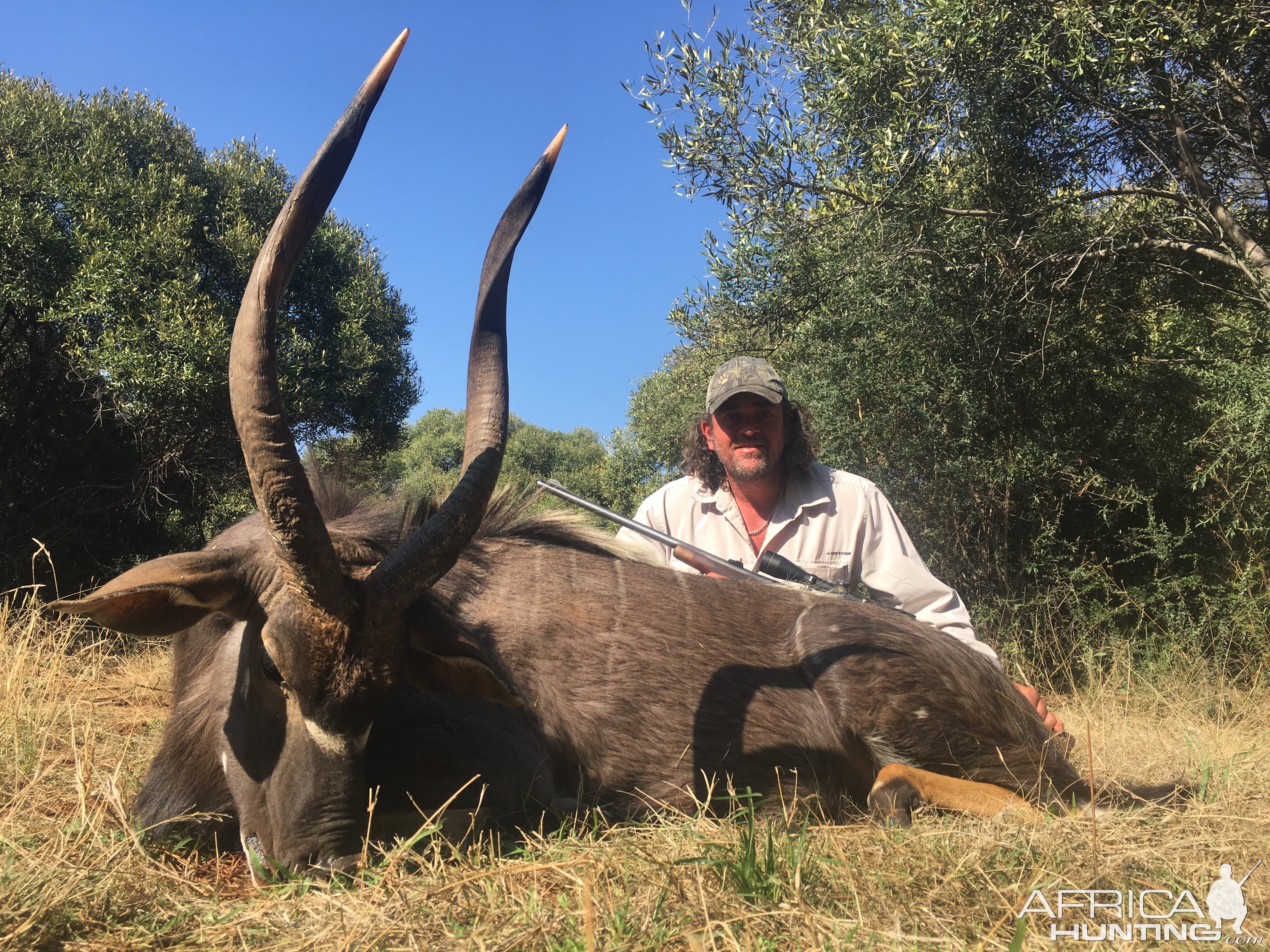 Nyala Hunt South Africa