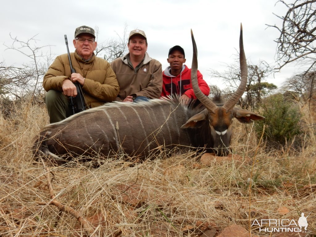 Nyala Hunt South Africa