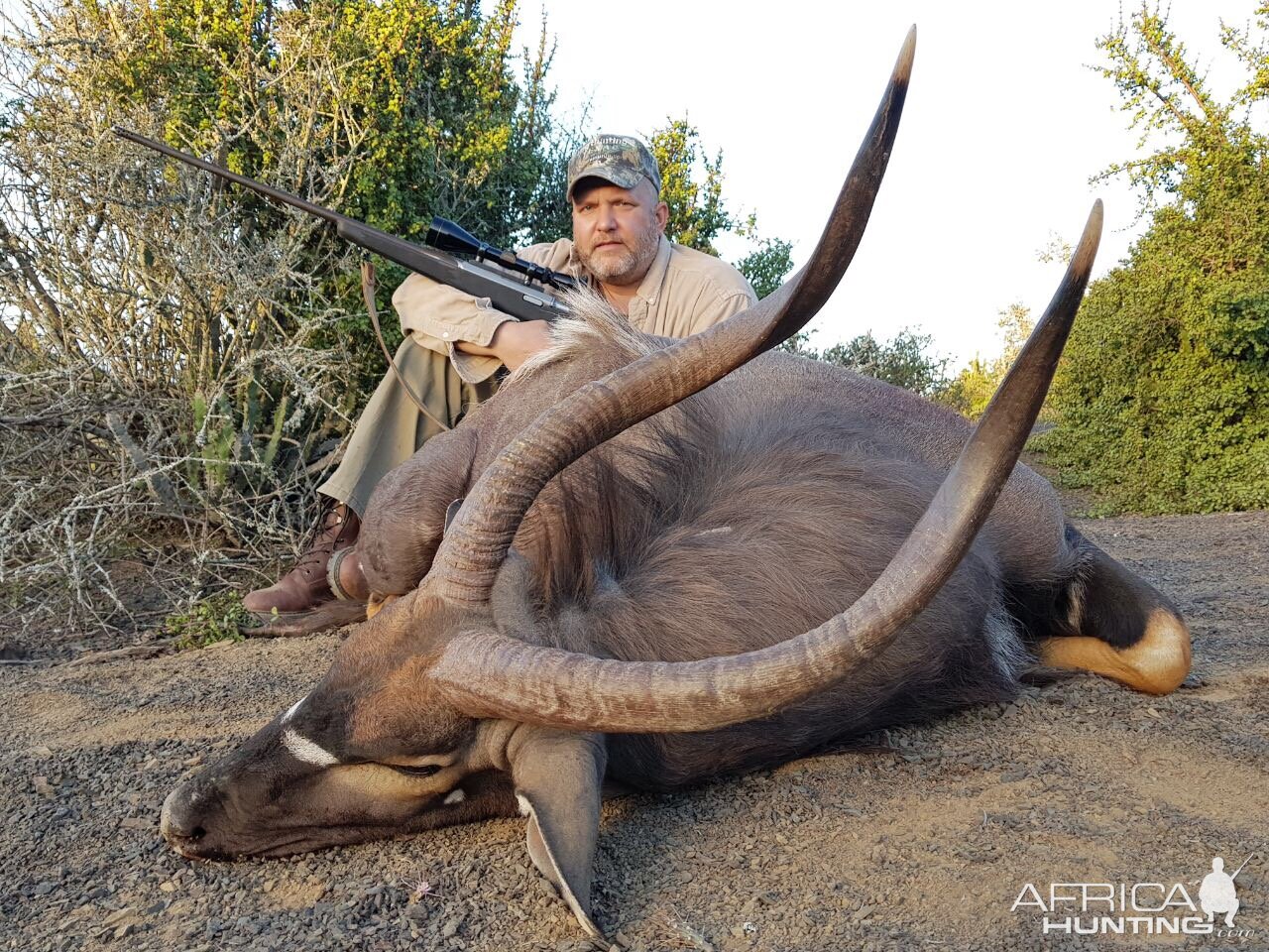 Nyala Hunt South Africa