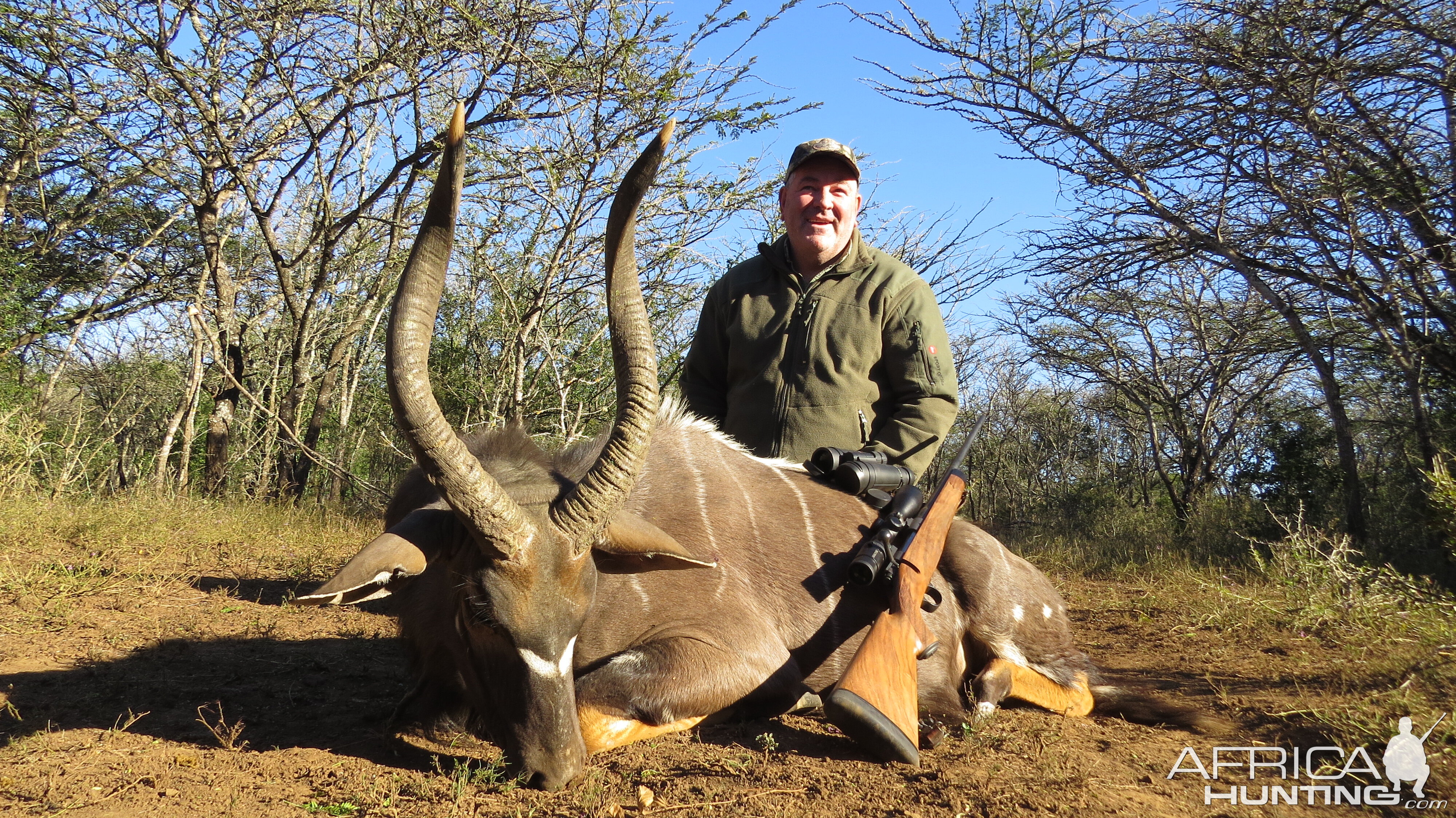 Nyala Hunt South Africa