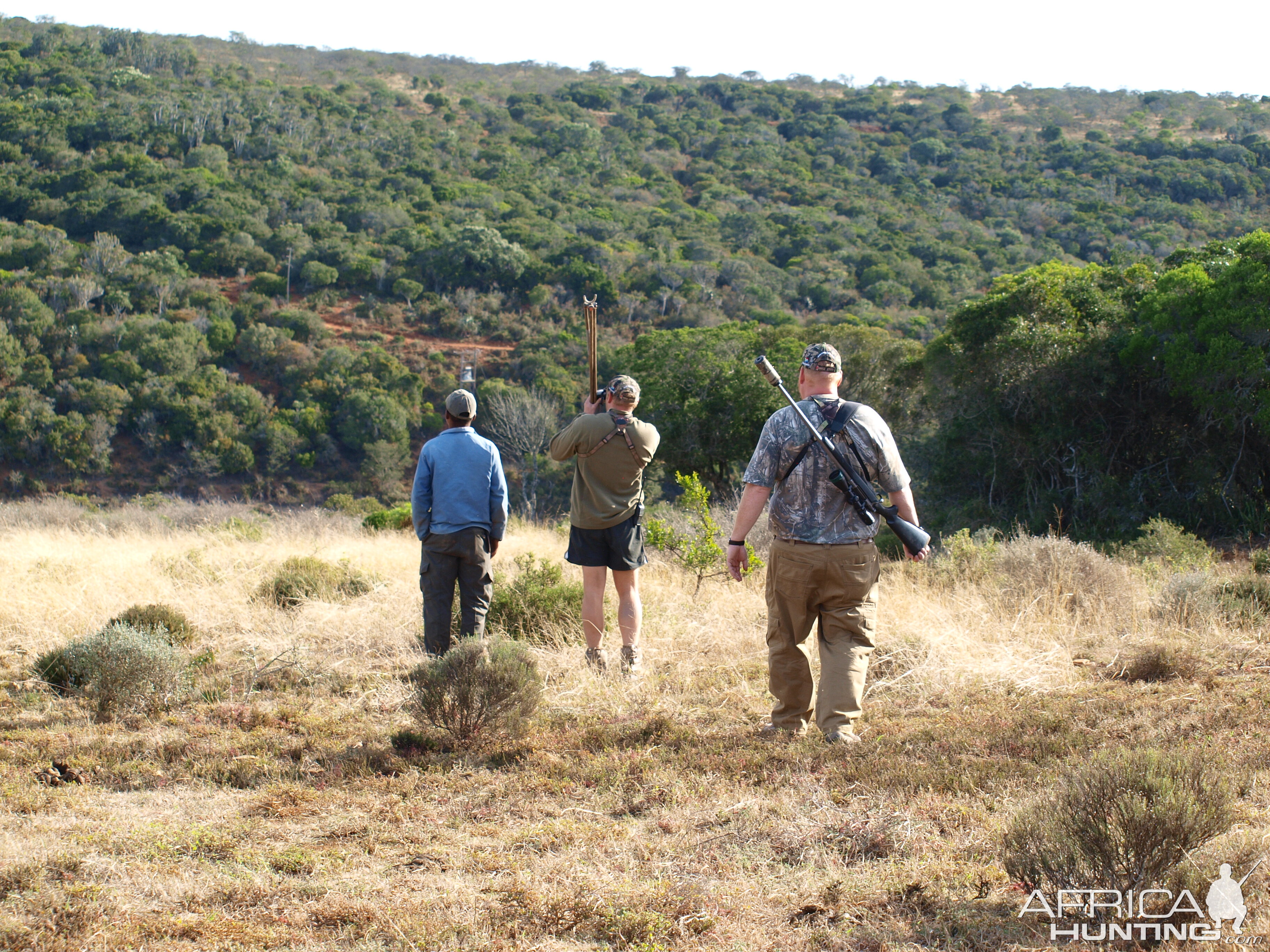 Nyala Hunt South Africa