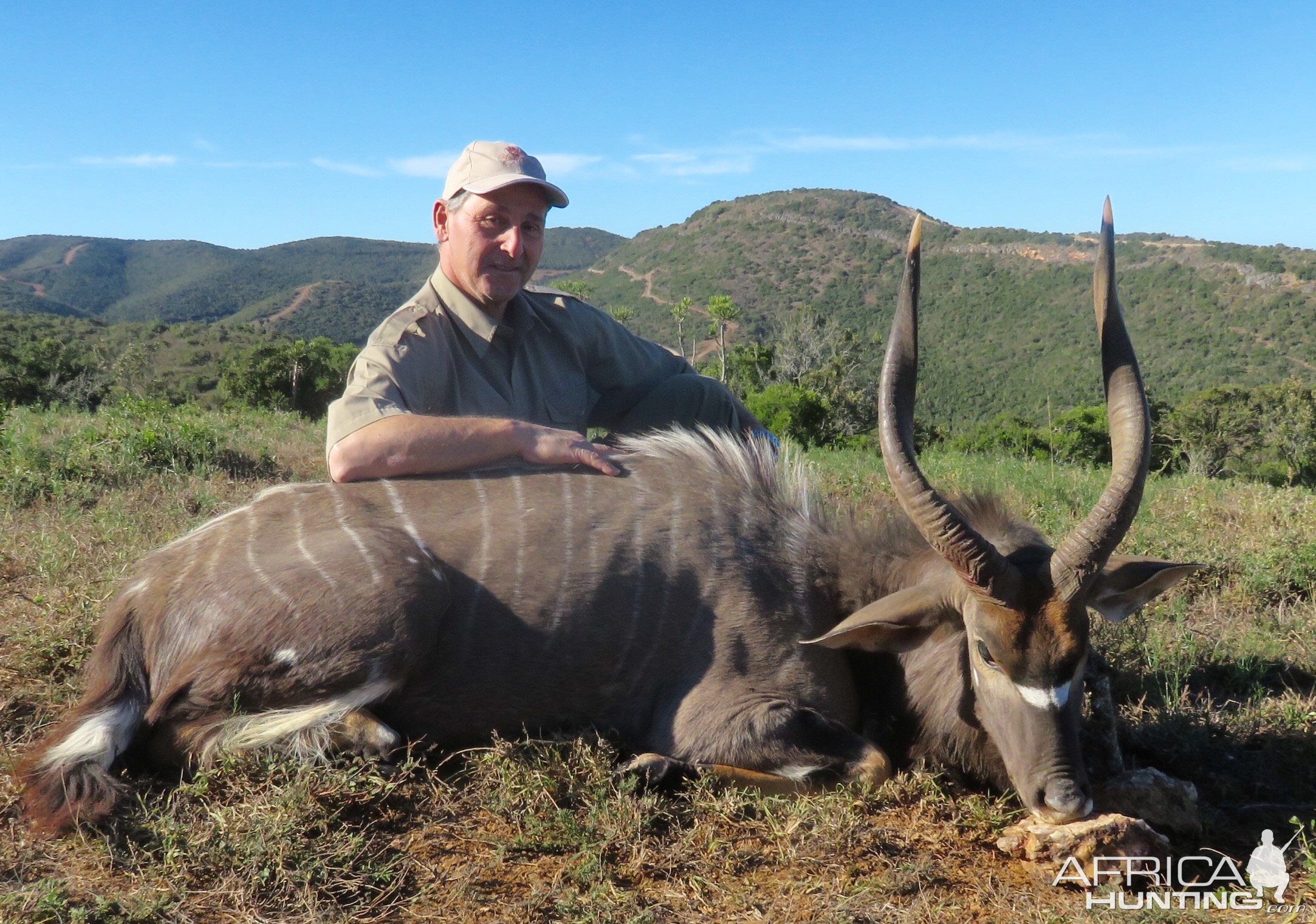 Nyala Hunt South Africa