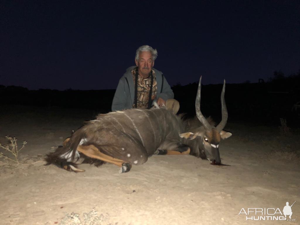 Nyala Hunt South Africa