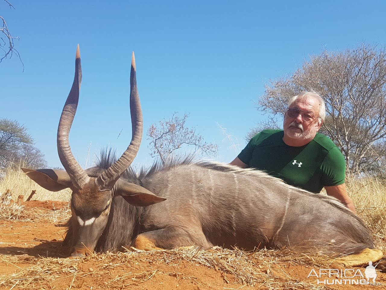 Nyala Hunt South Africa