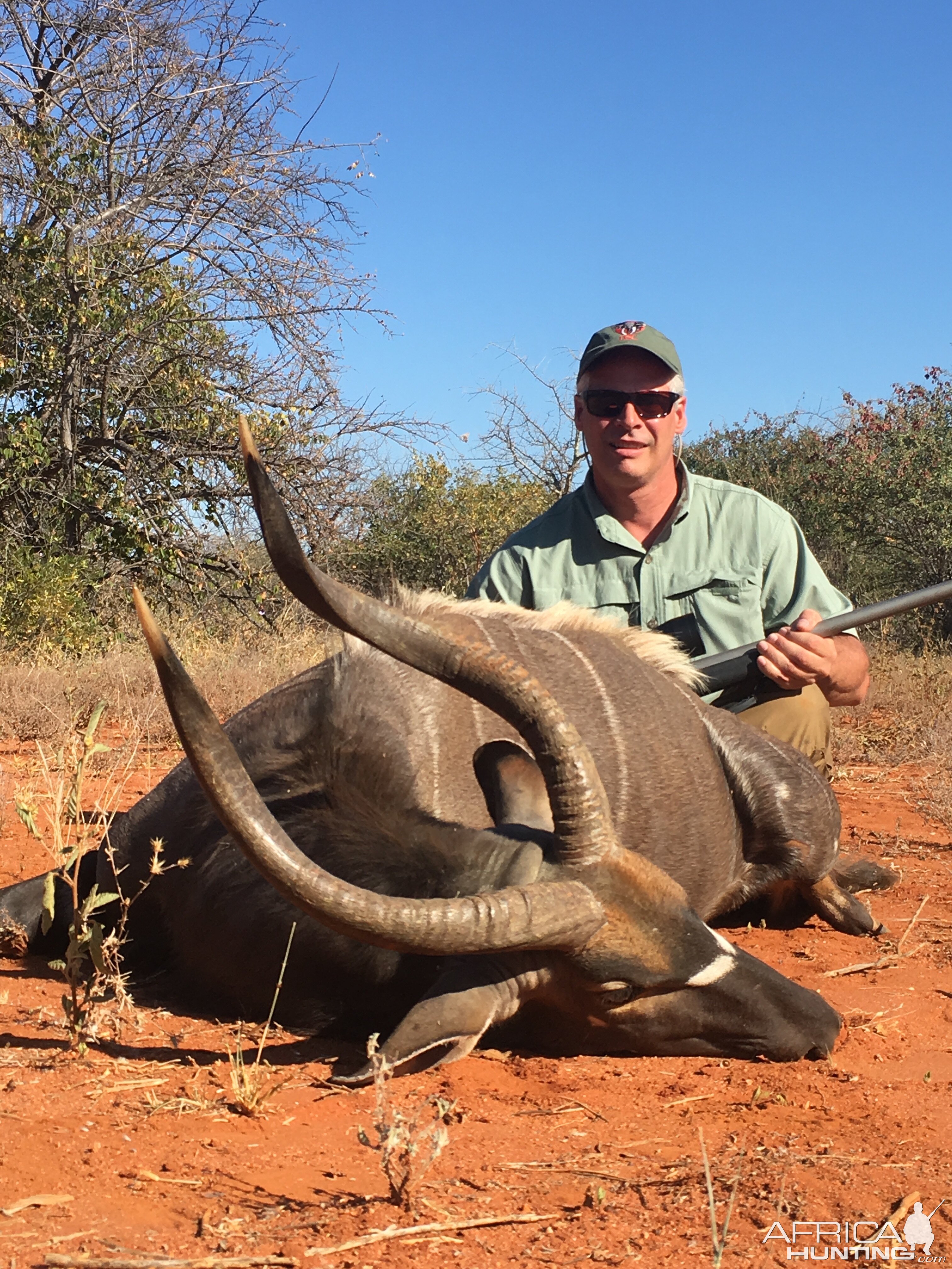 Nyala Hunt South Africa