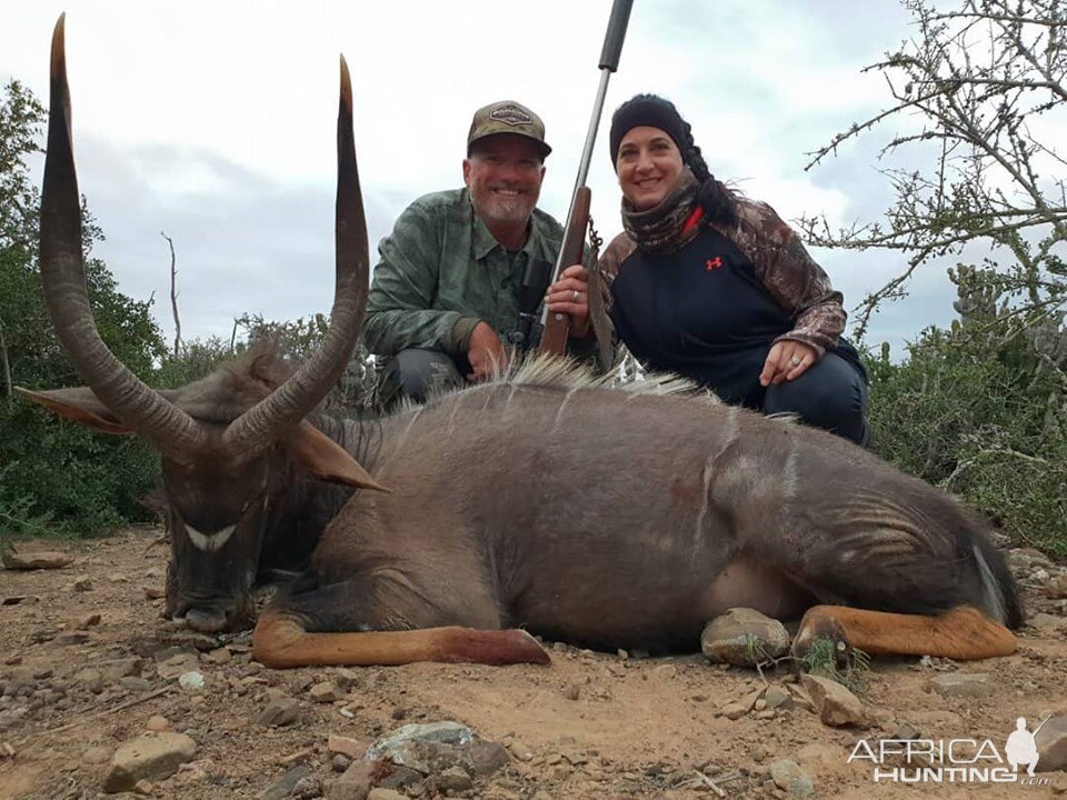 Nyala Hunt South Africa