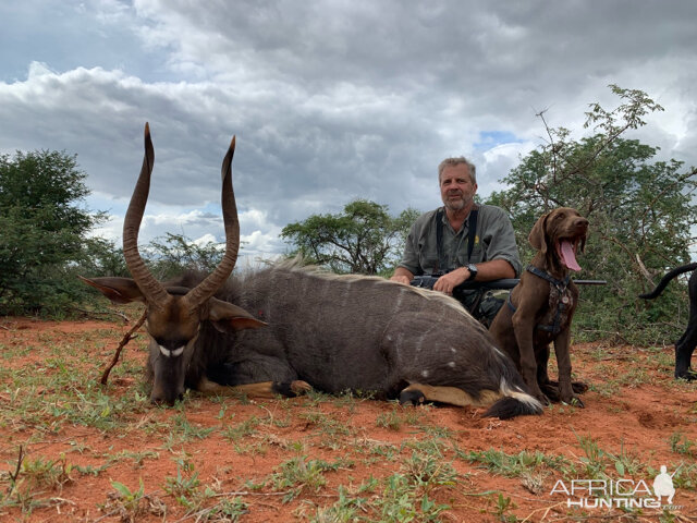 Nyala Hunt South Africa