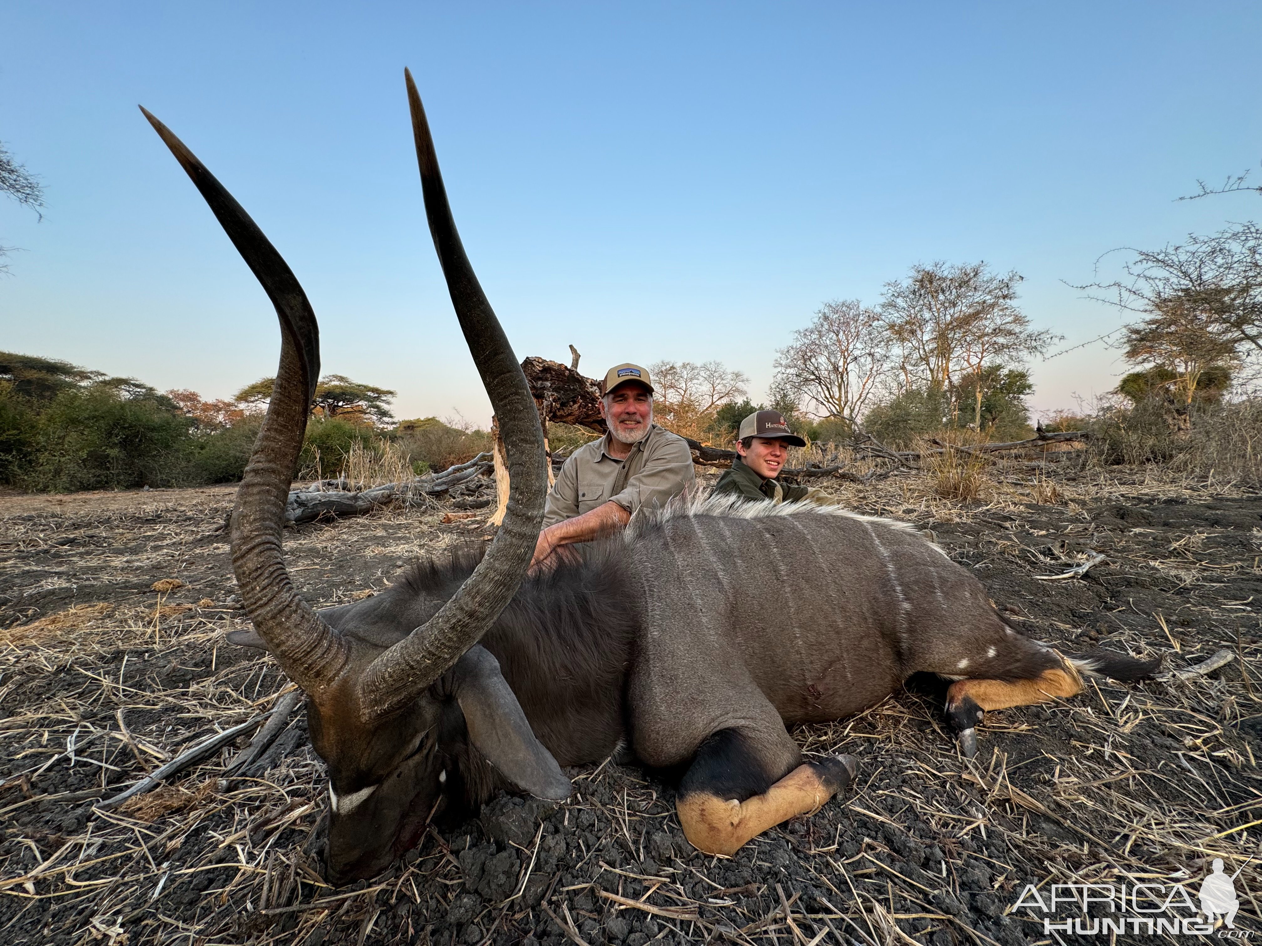 Nyala Hunt Zimbabwe