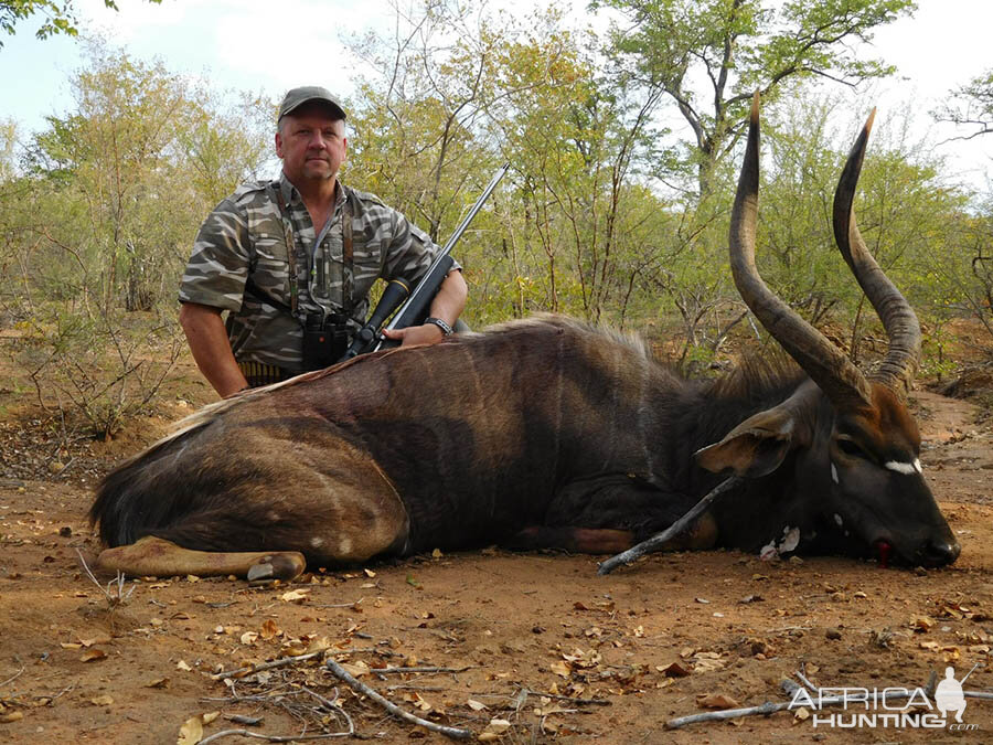 Nyala Hunt