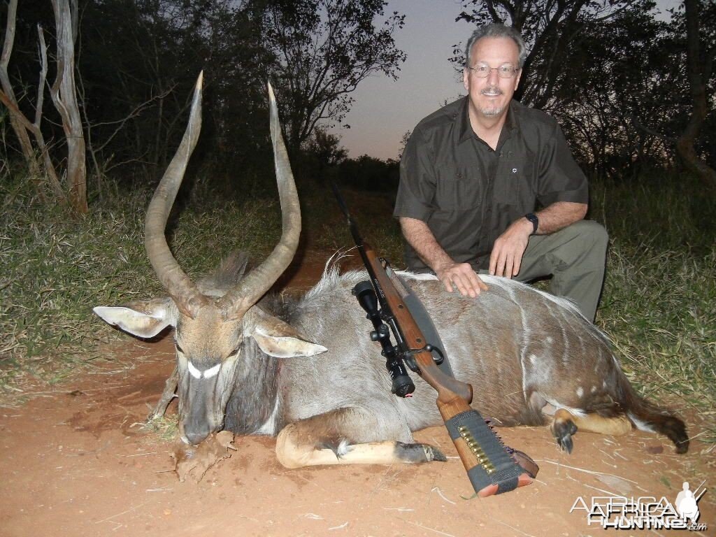 Nyala hunted in Limpopo SA