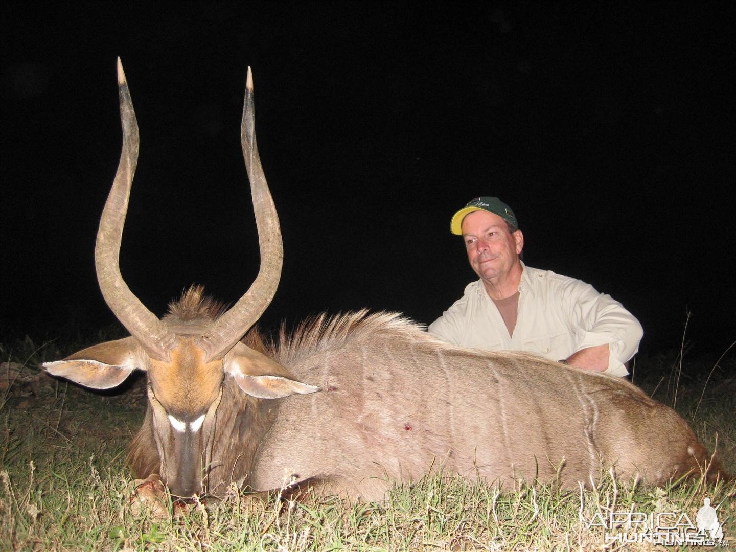 Nyala hunted with Andrew Harvey Safaris