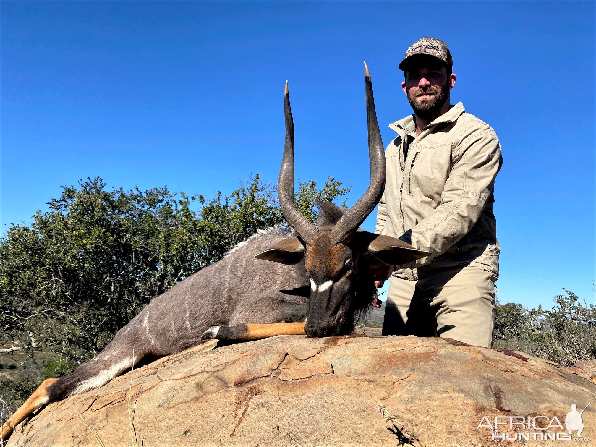 Nyala Hunting Eastern Cape South Africa