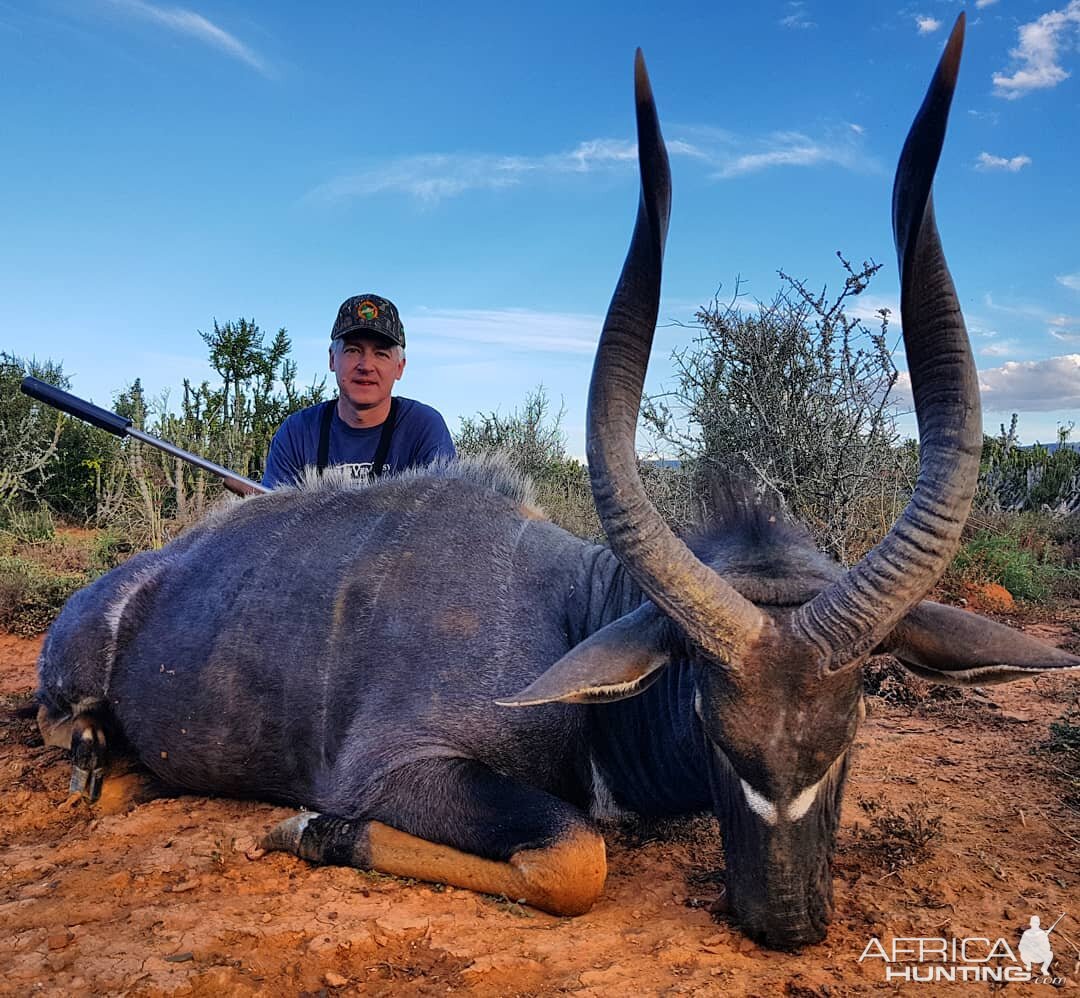 Nyala Hunting in South Africa