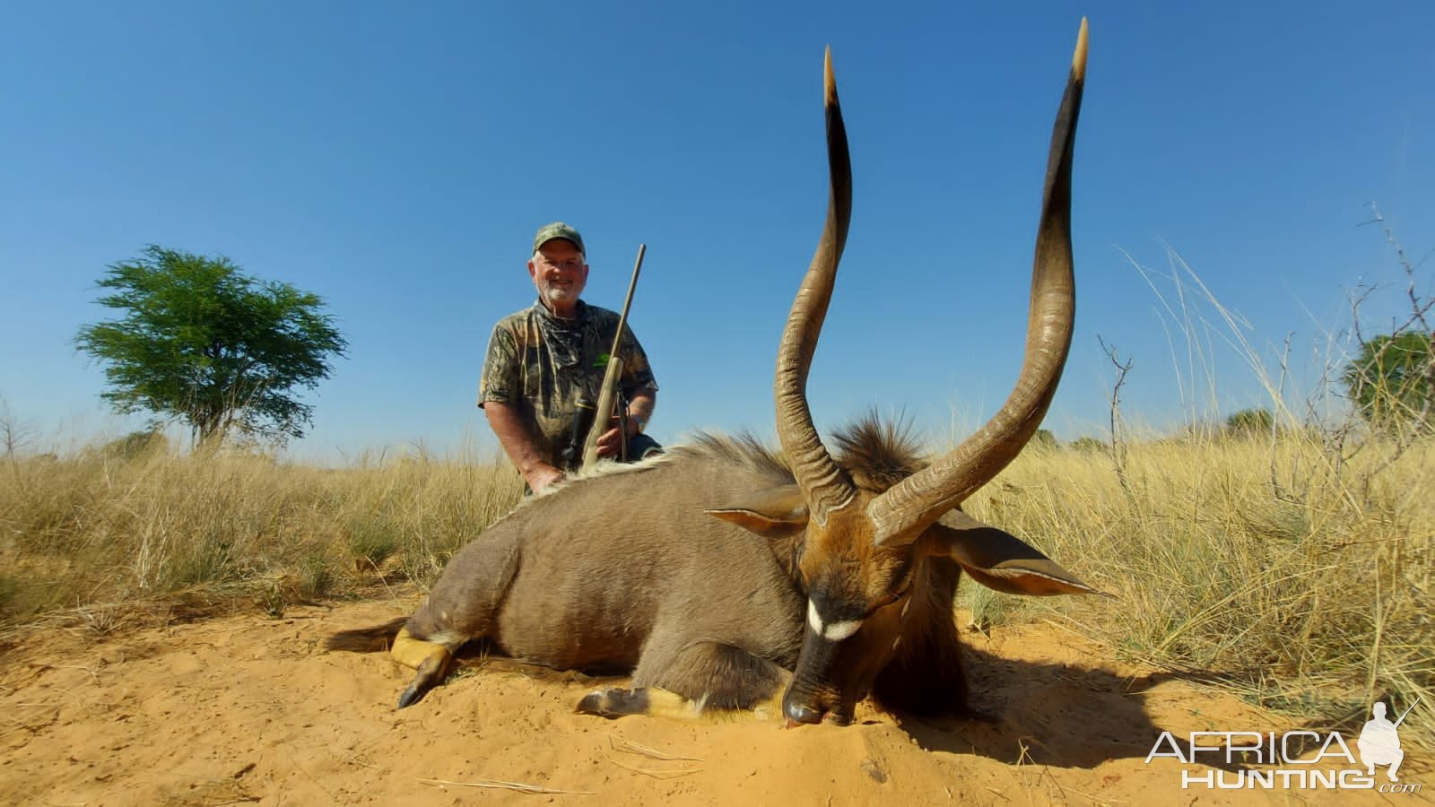 Nyala Hunting Kalahari South Africa