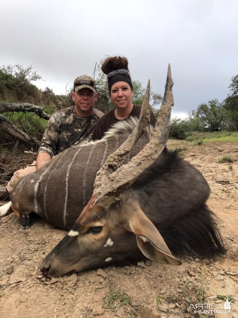 Nyala Hunting South Africa