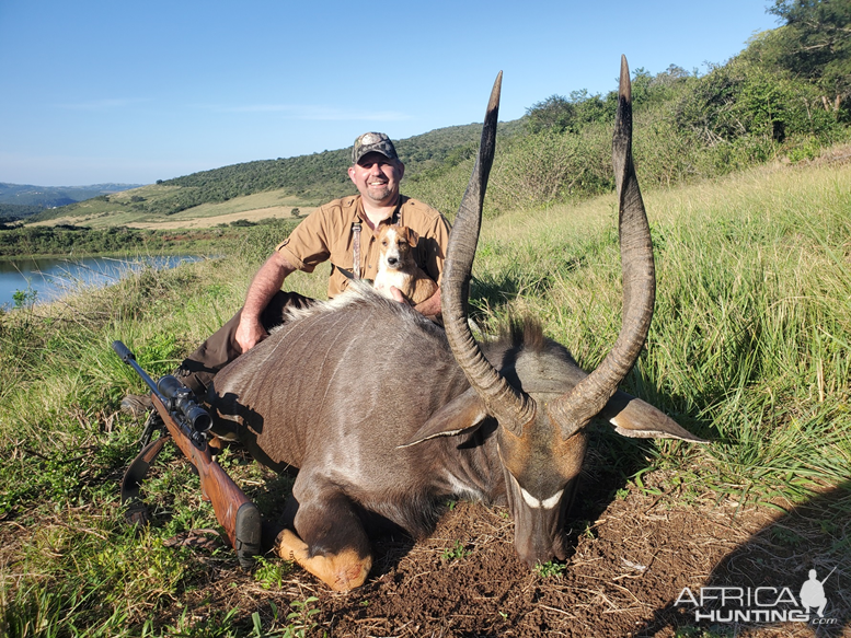 Nyala Hunting South Africa