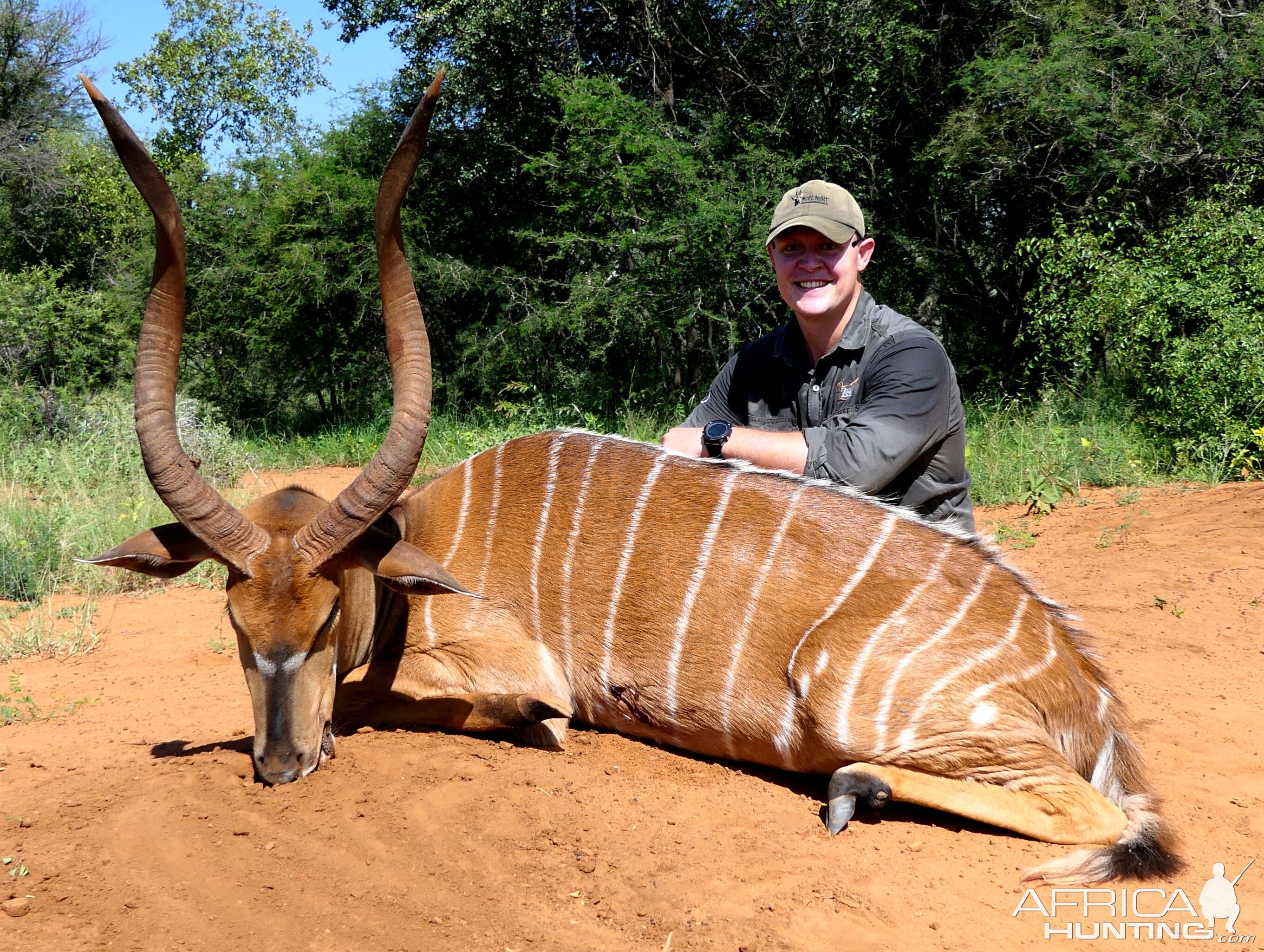 Nyala Hunting South Africa