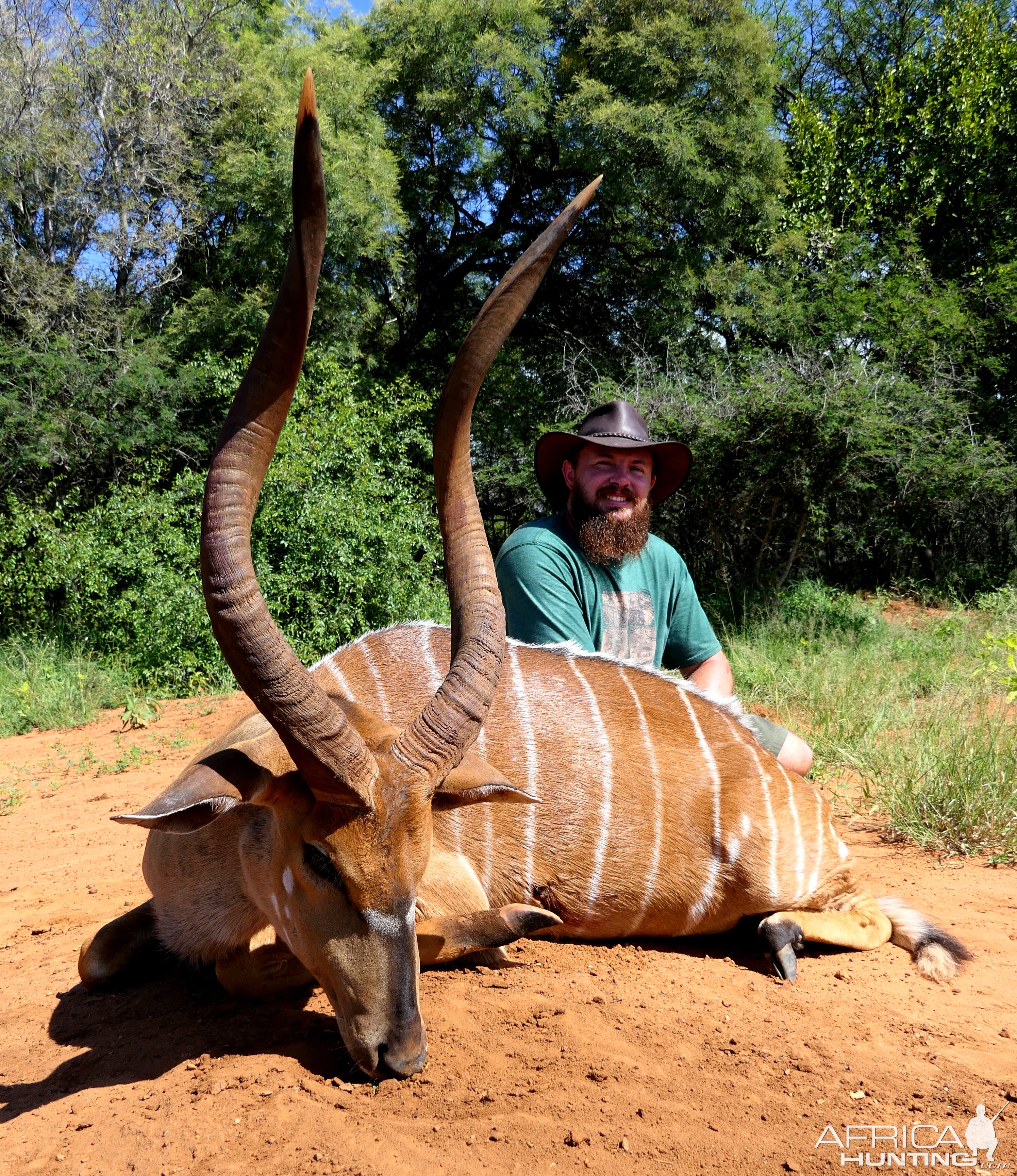 Nyala Hunting South Africa