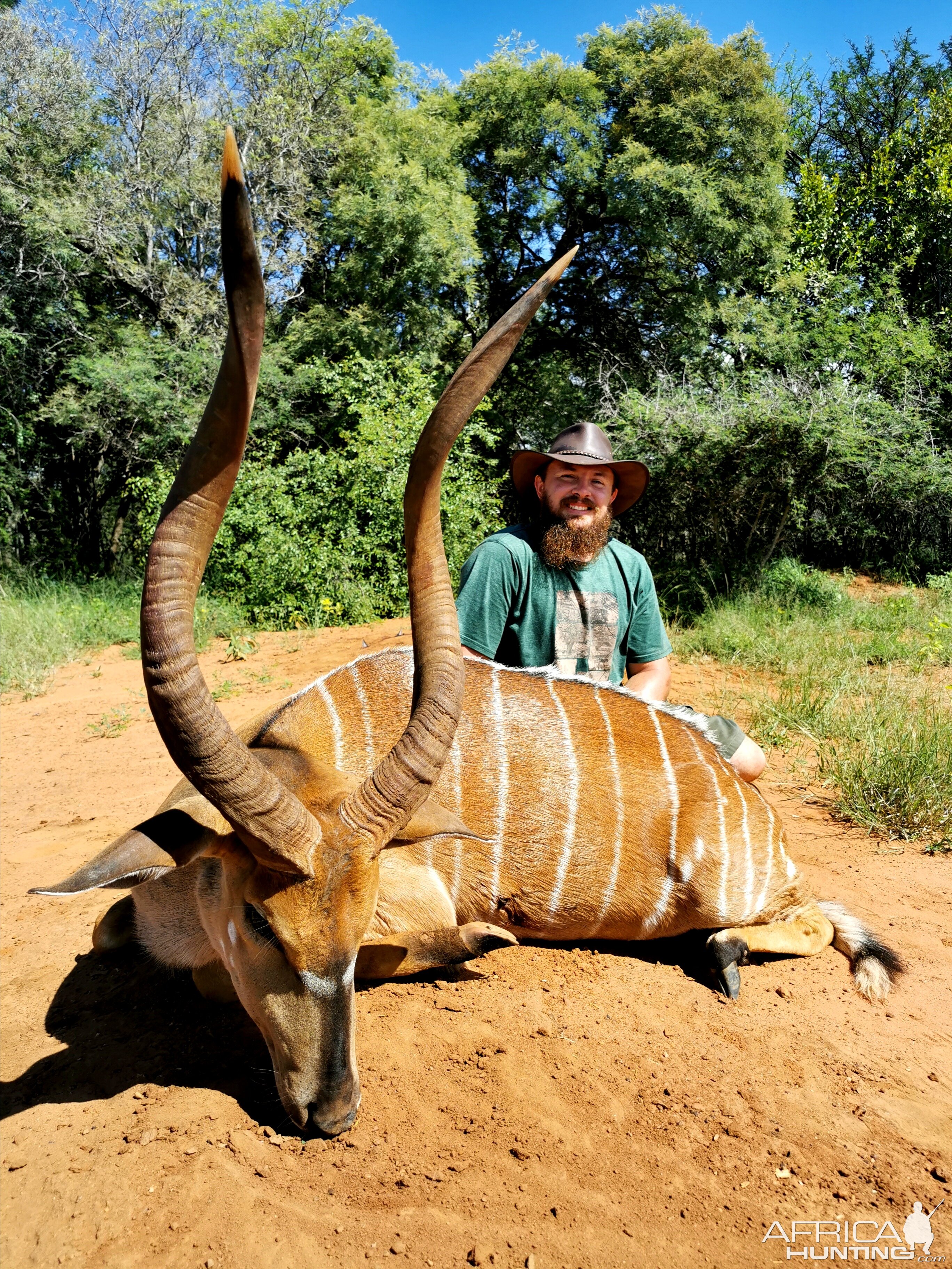 Nyala Hunting South Africa