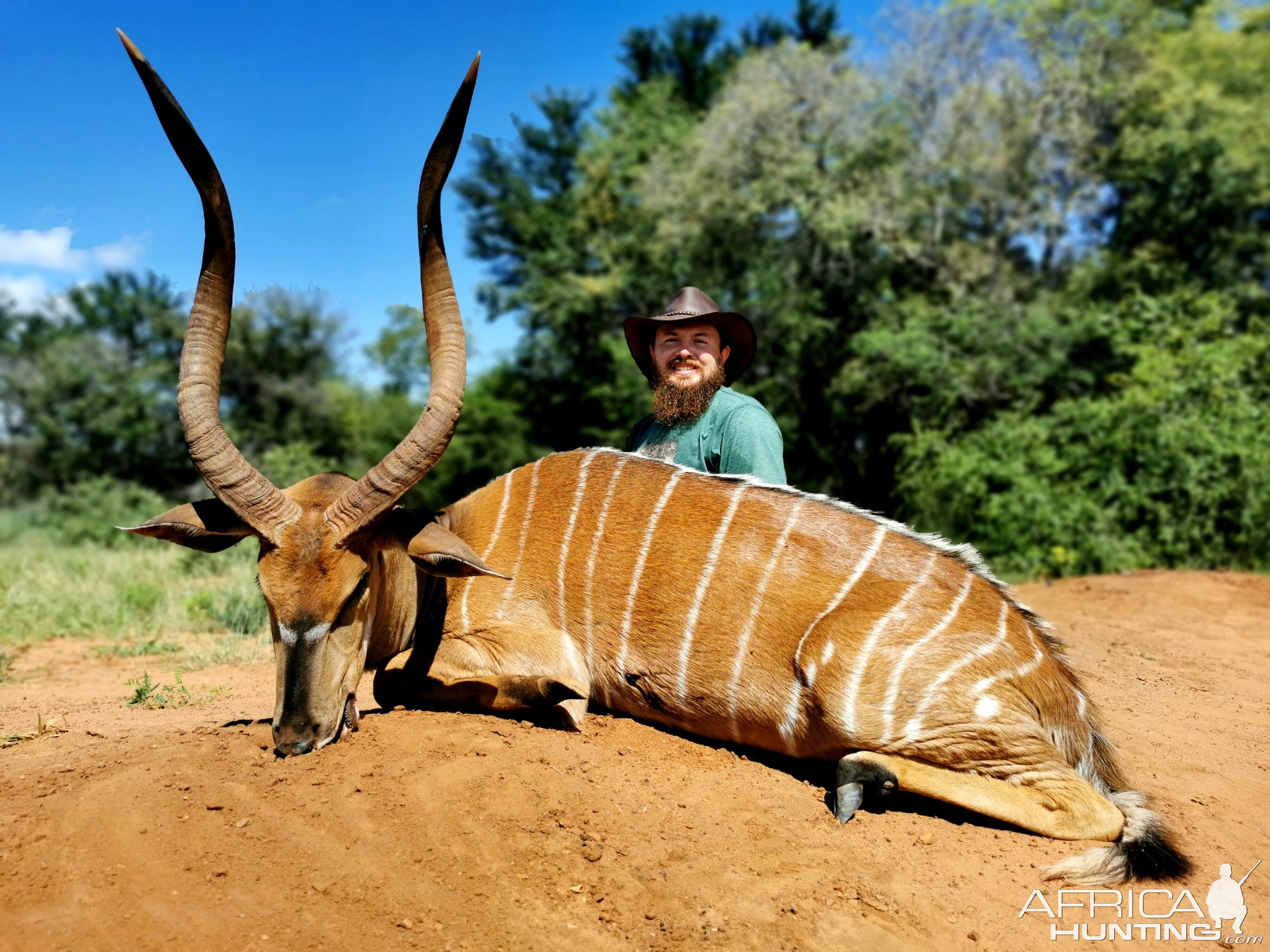 Nyala Hunting South Africa