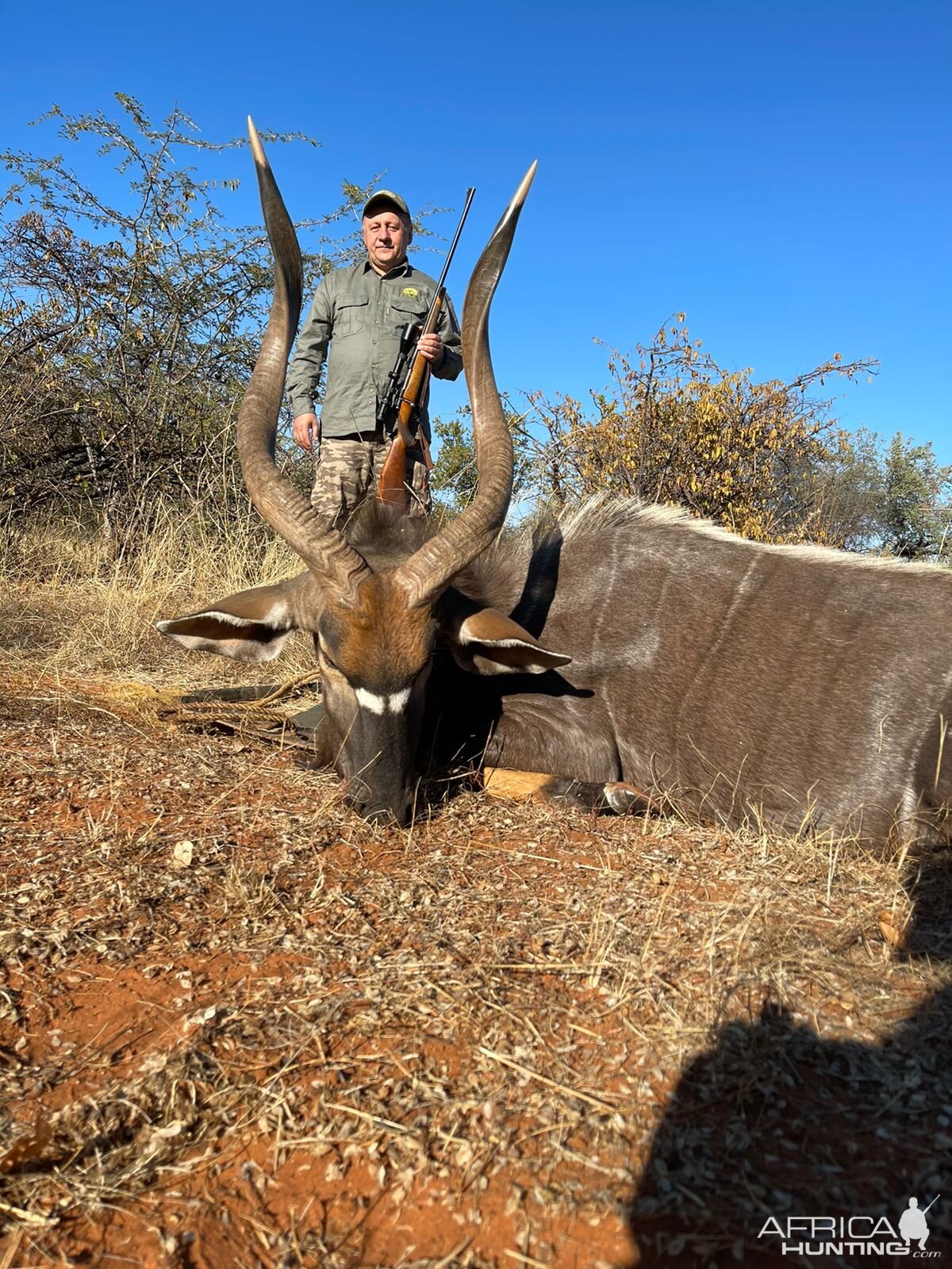 Nyala Hunting South Africa