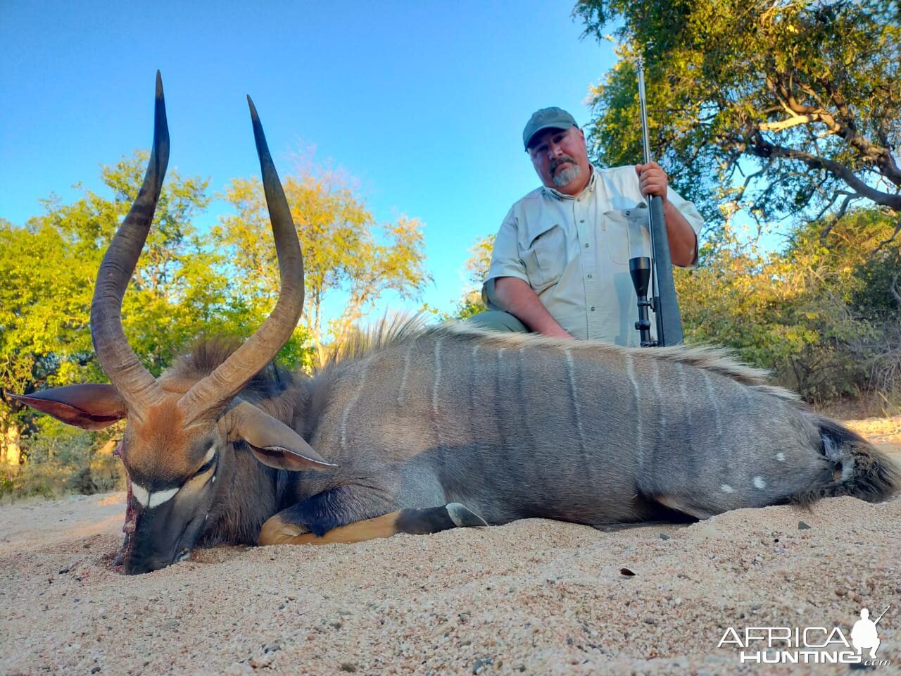 Nyala Hunting South Africa