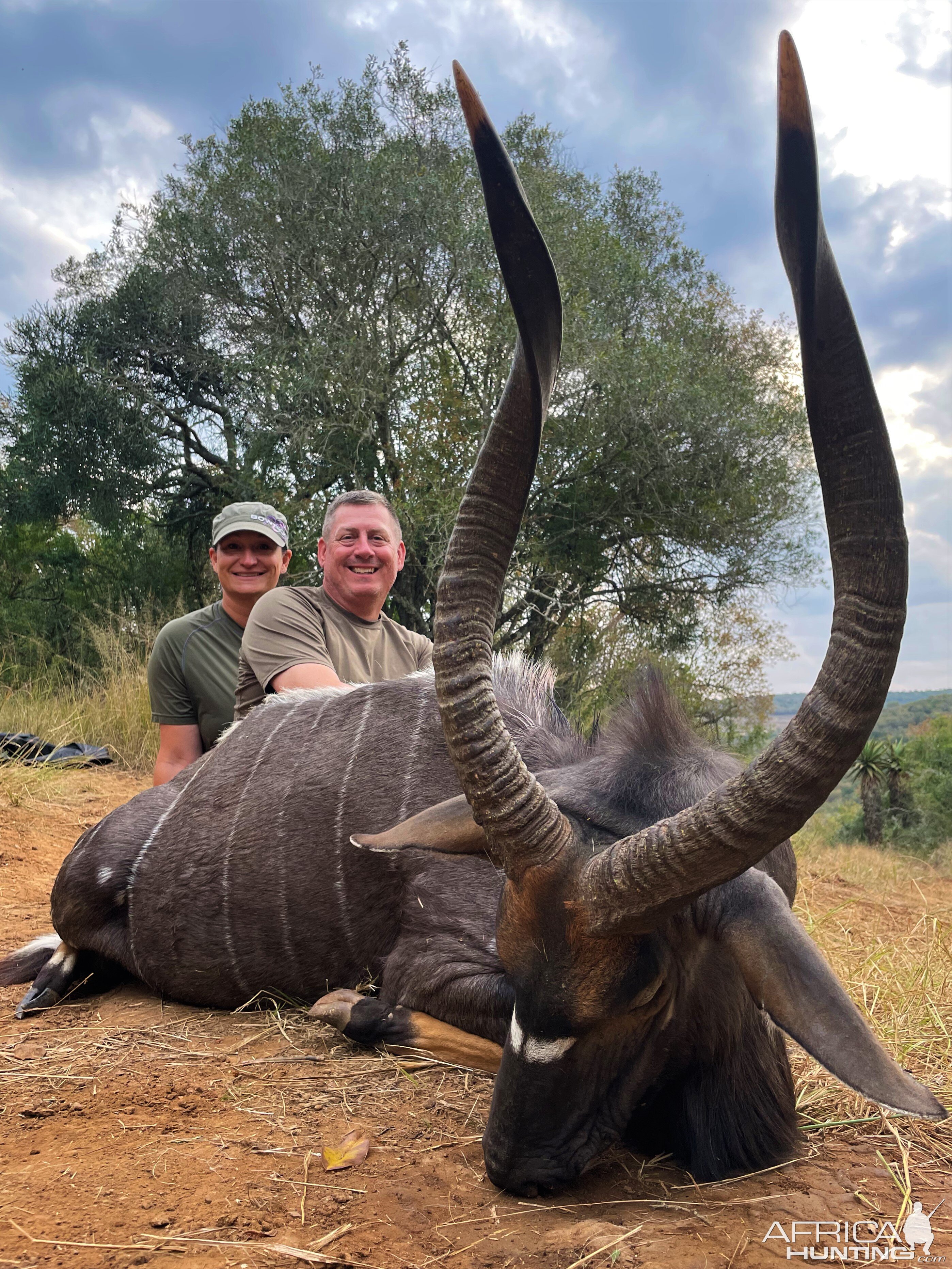 Nyala Hunting South Africa