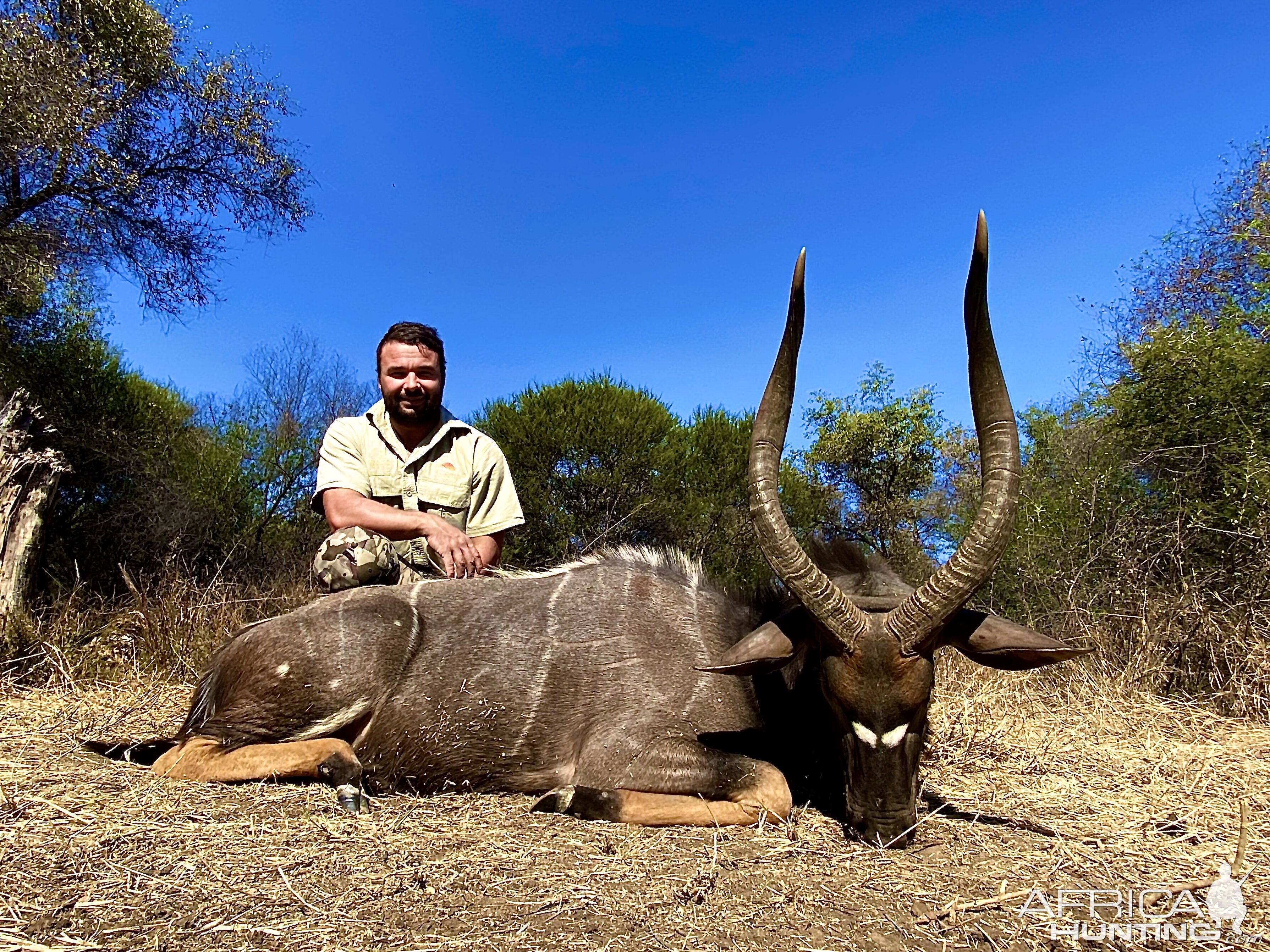 Nyala Hunting South Africa