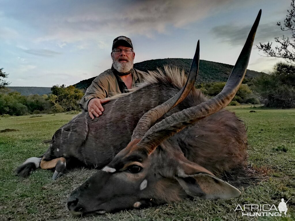 Nyala Hunting South Africa