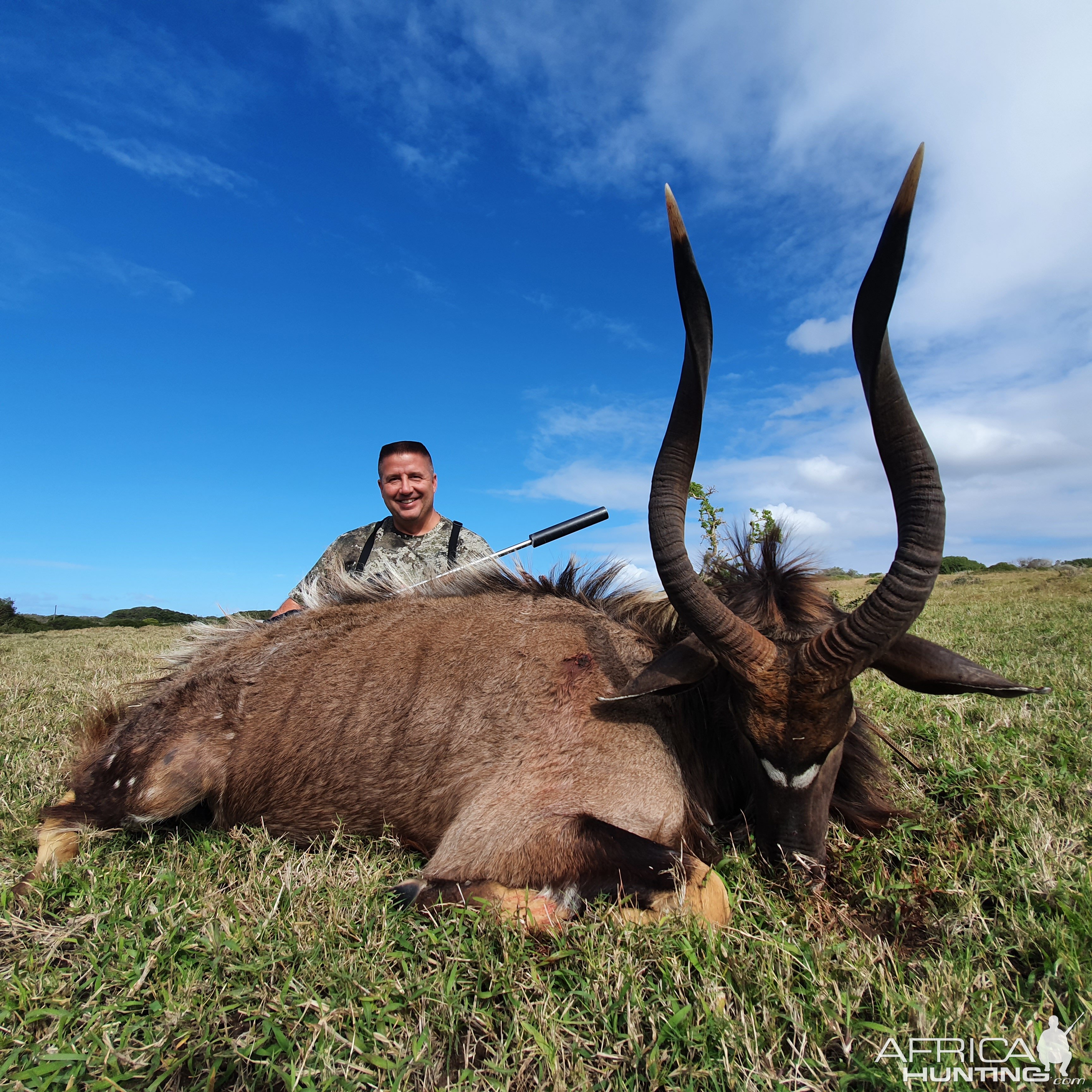 Nyala Hunting South Africa