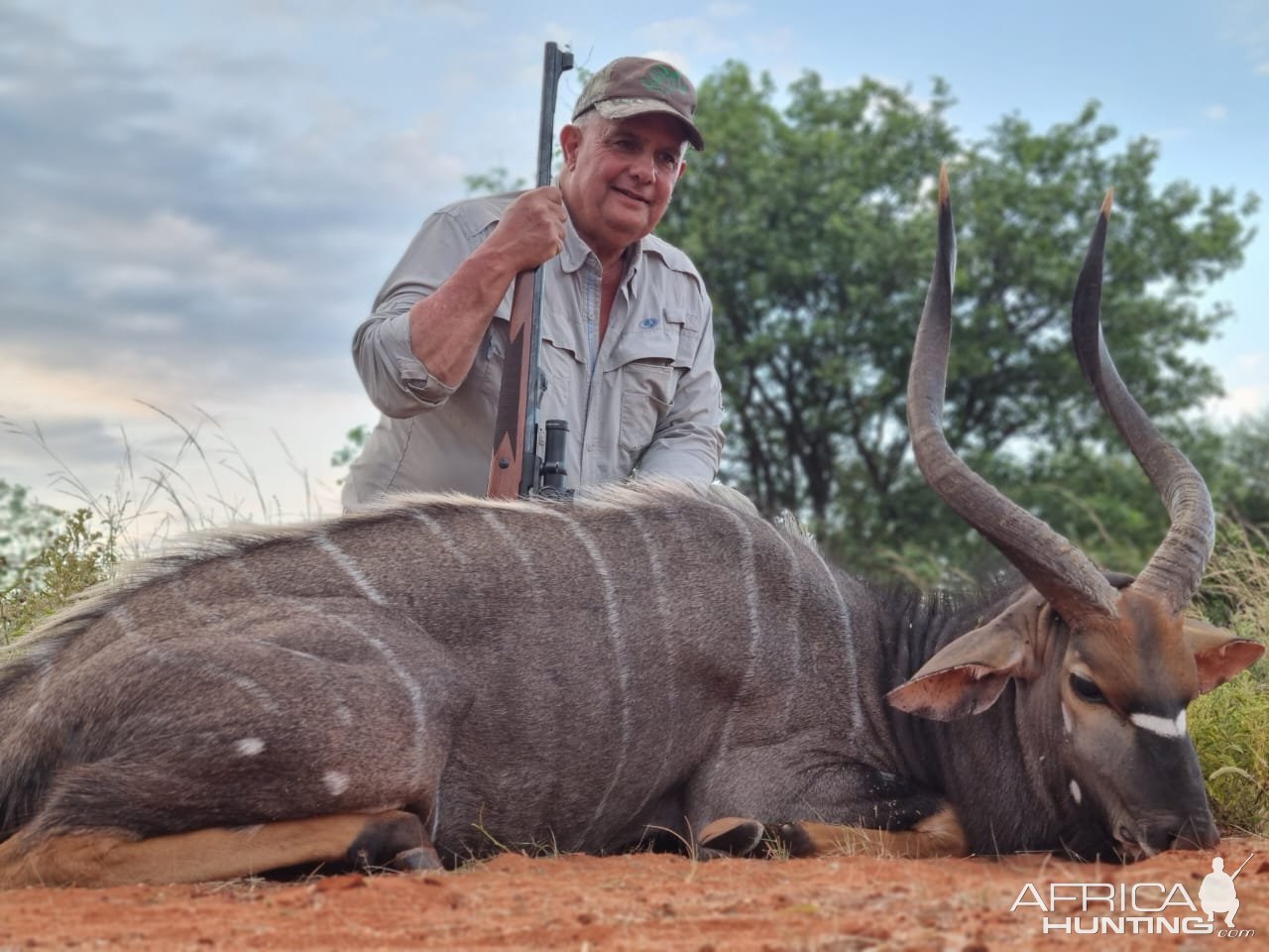 Nyala Hunting South Africa