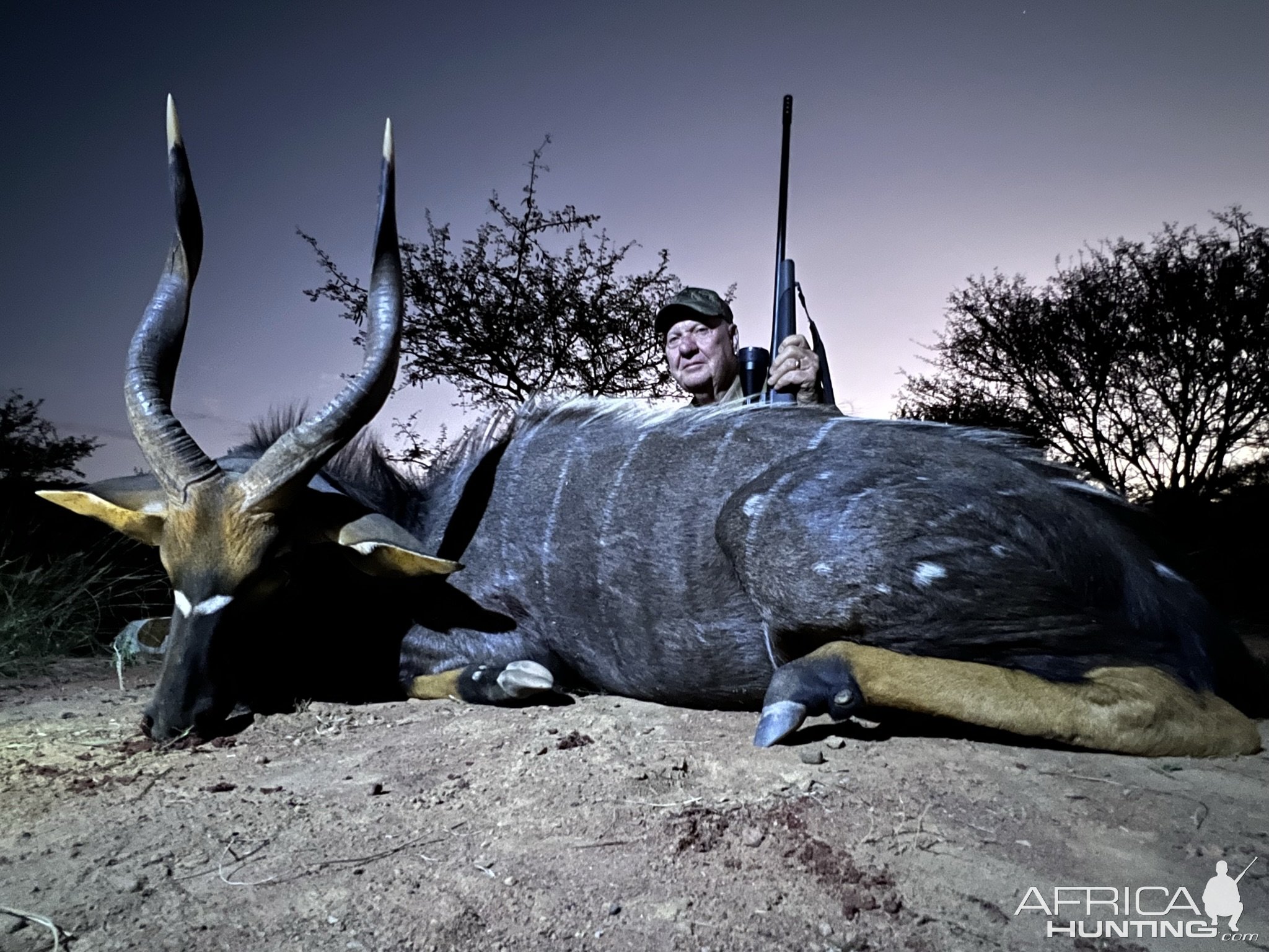 Nyala Hunting South Africa