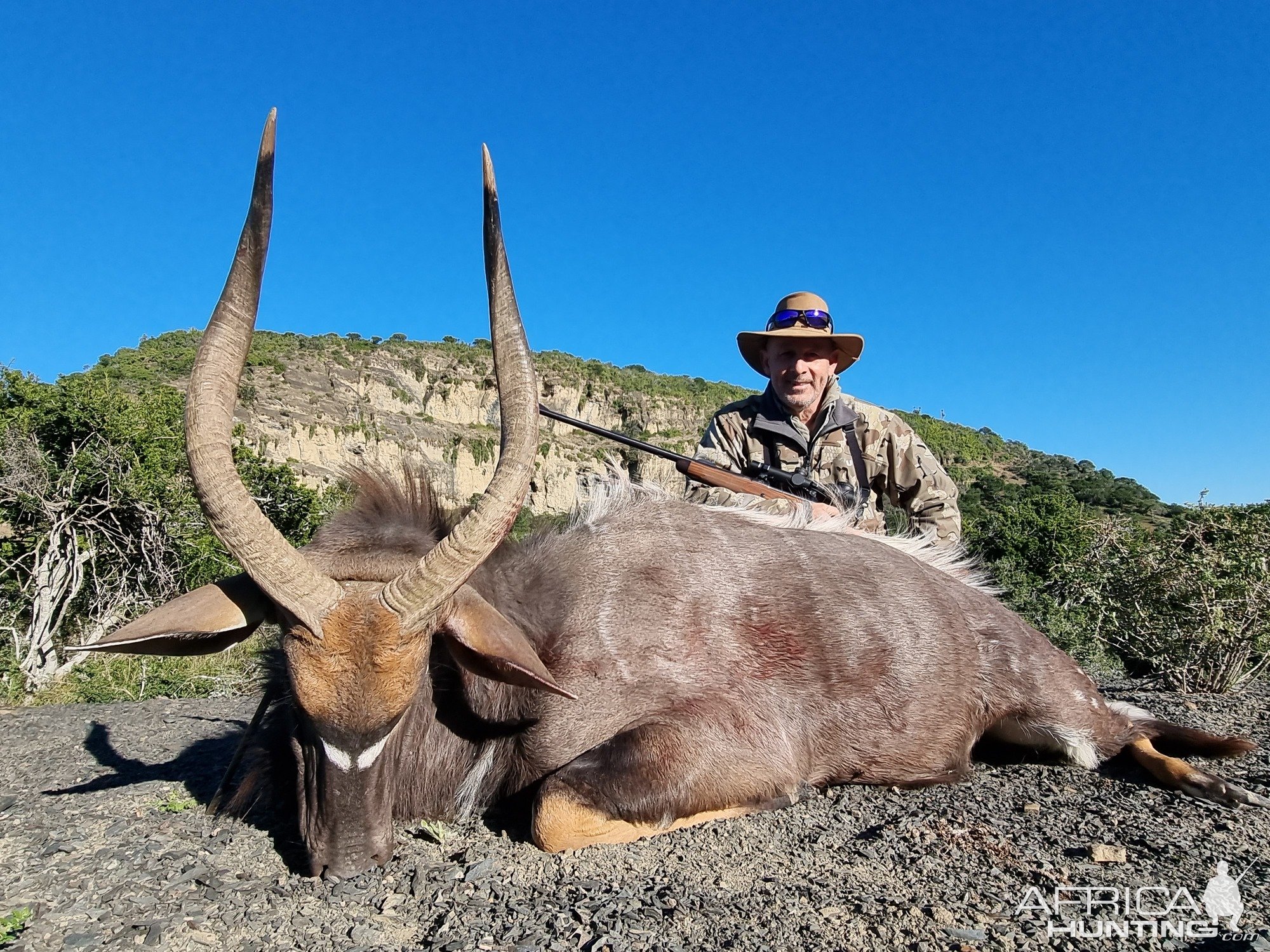 Nyala Hunting South Africa