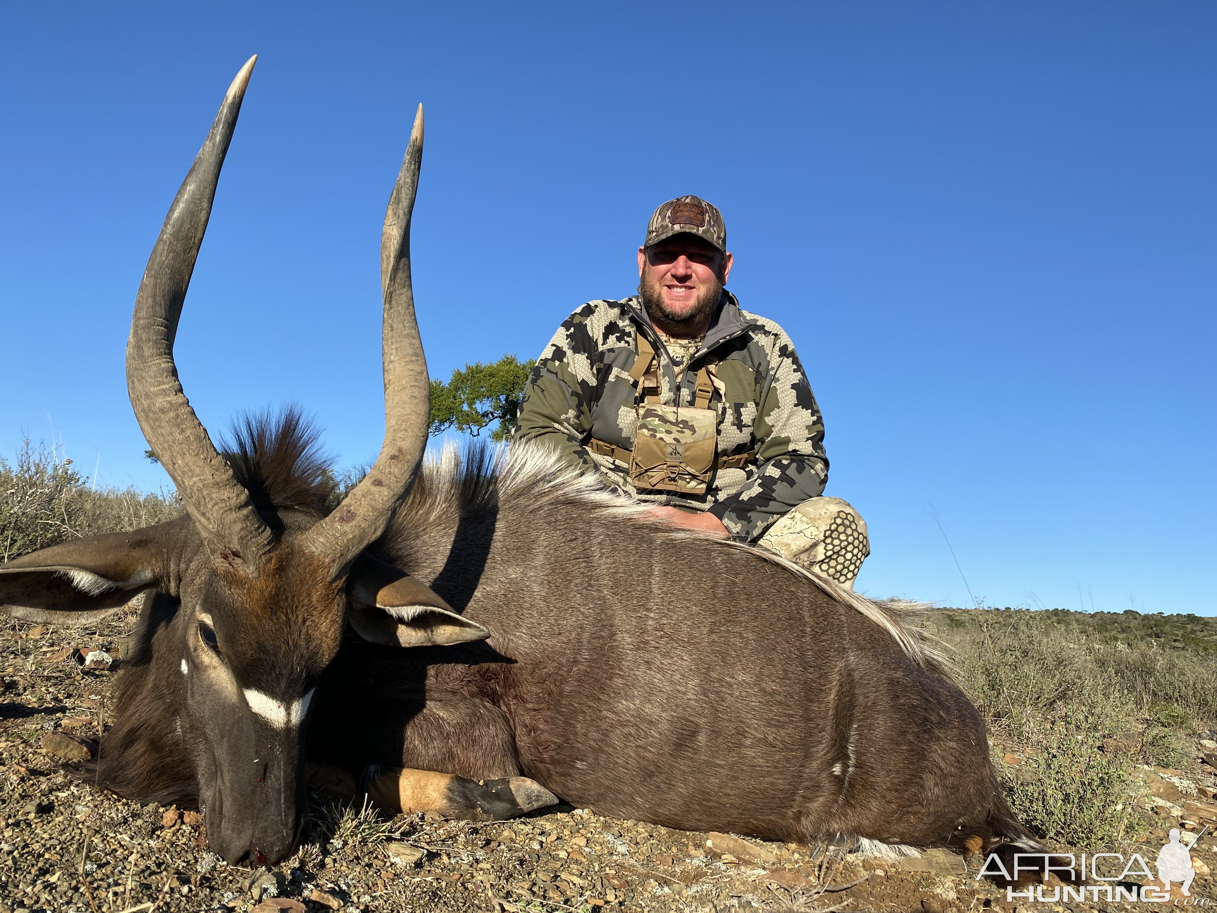 Nyala Hunting South Africa