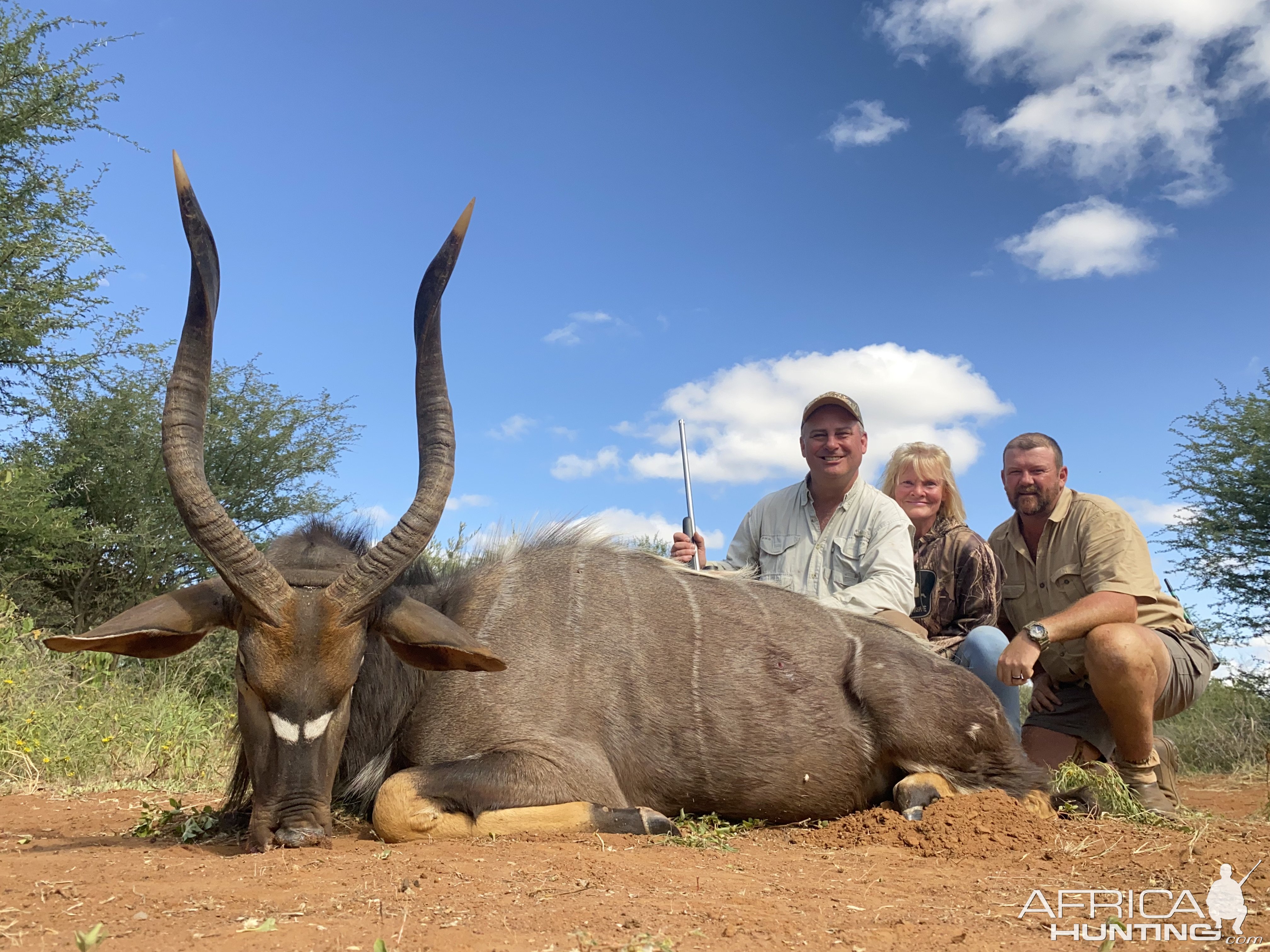 Nyala Hunting South Africa