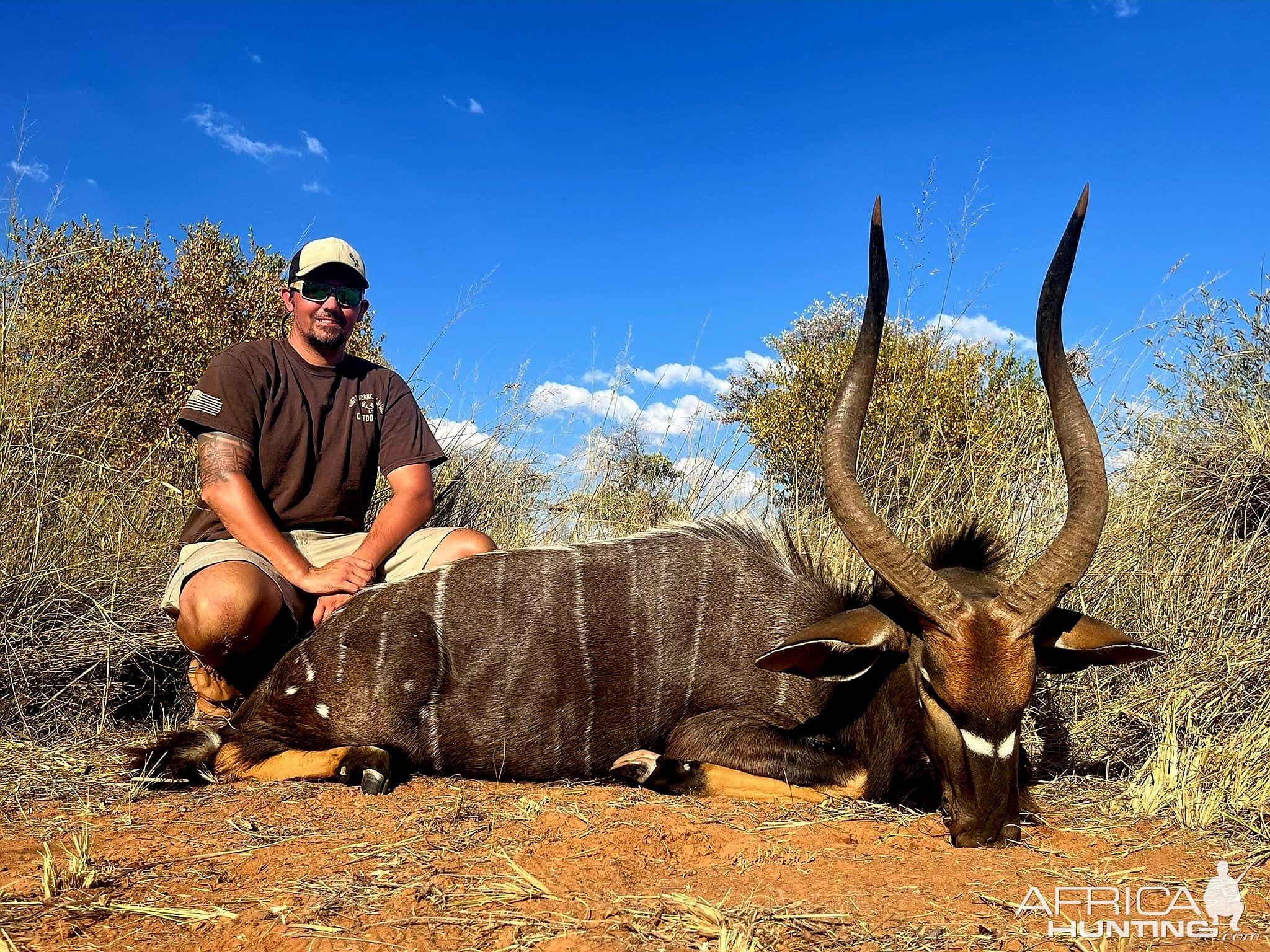 Nyala Hunting South Africa