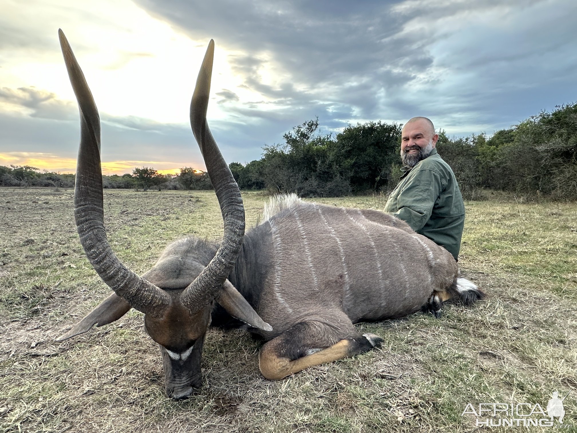 Nyala Hunting South Africa