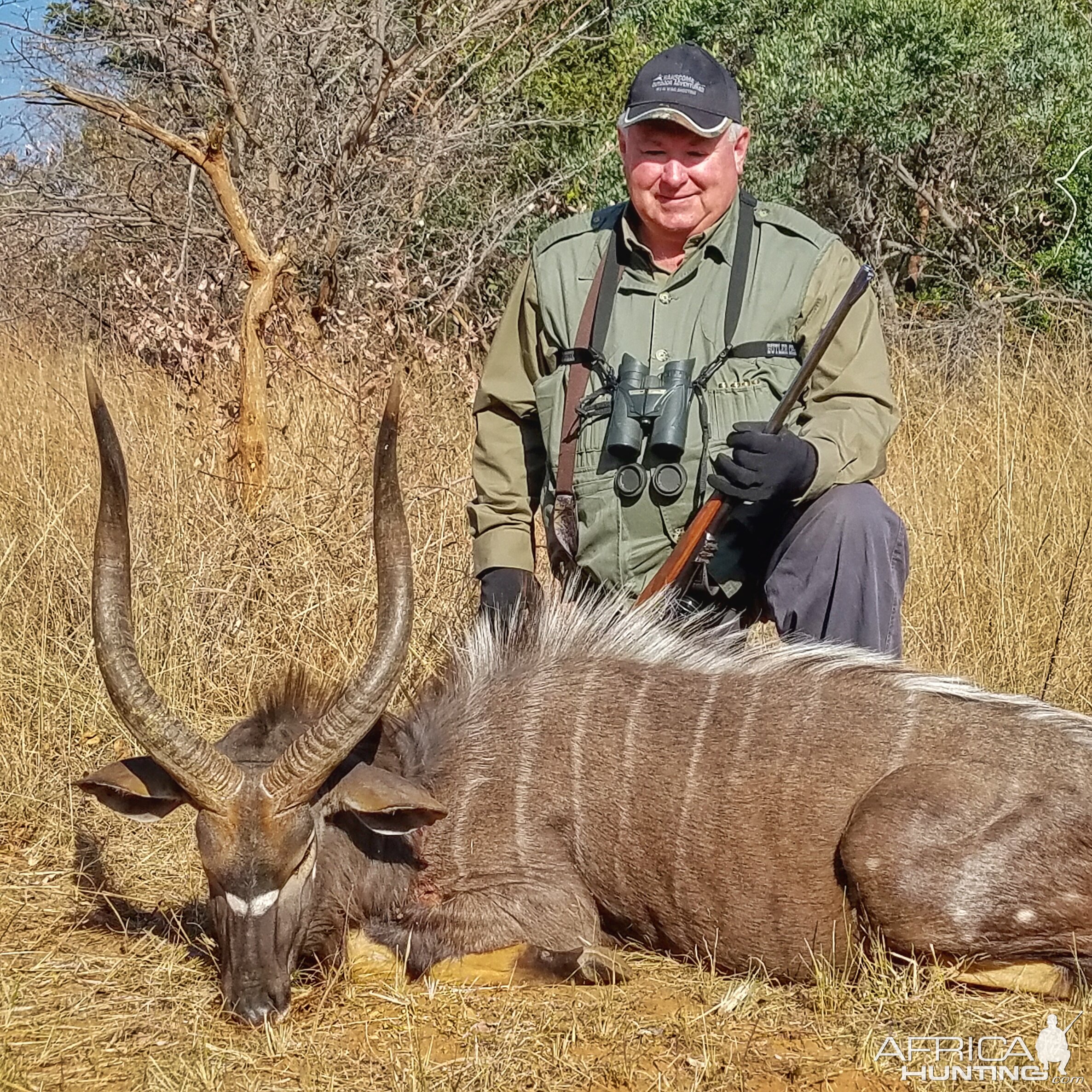 Nyala Hunting South Africa