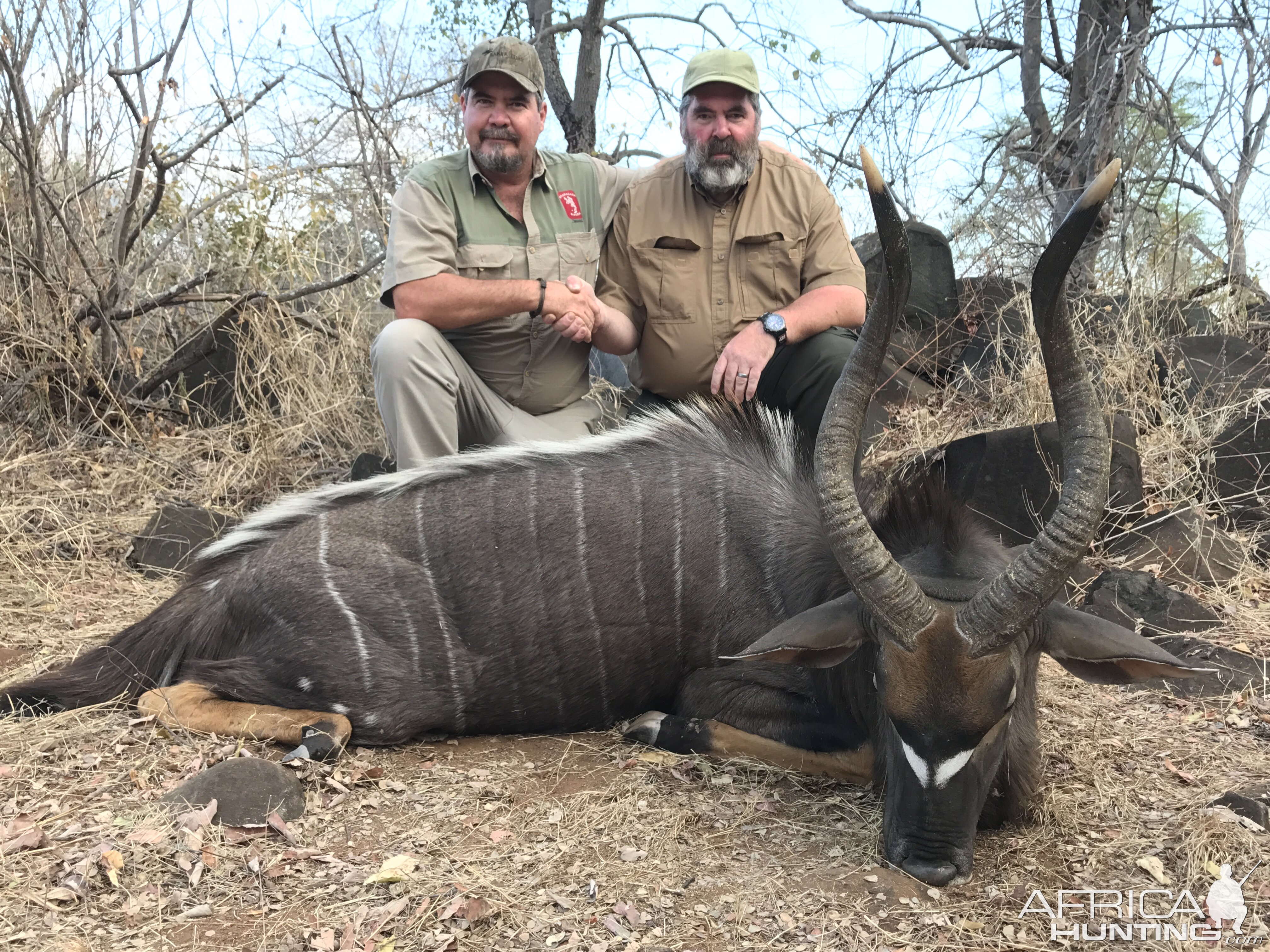 Nyala Hunting South Africa