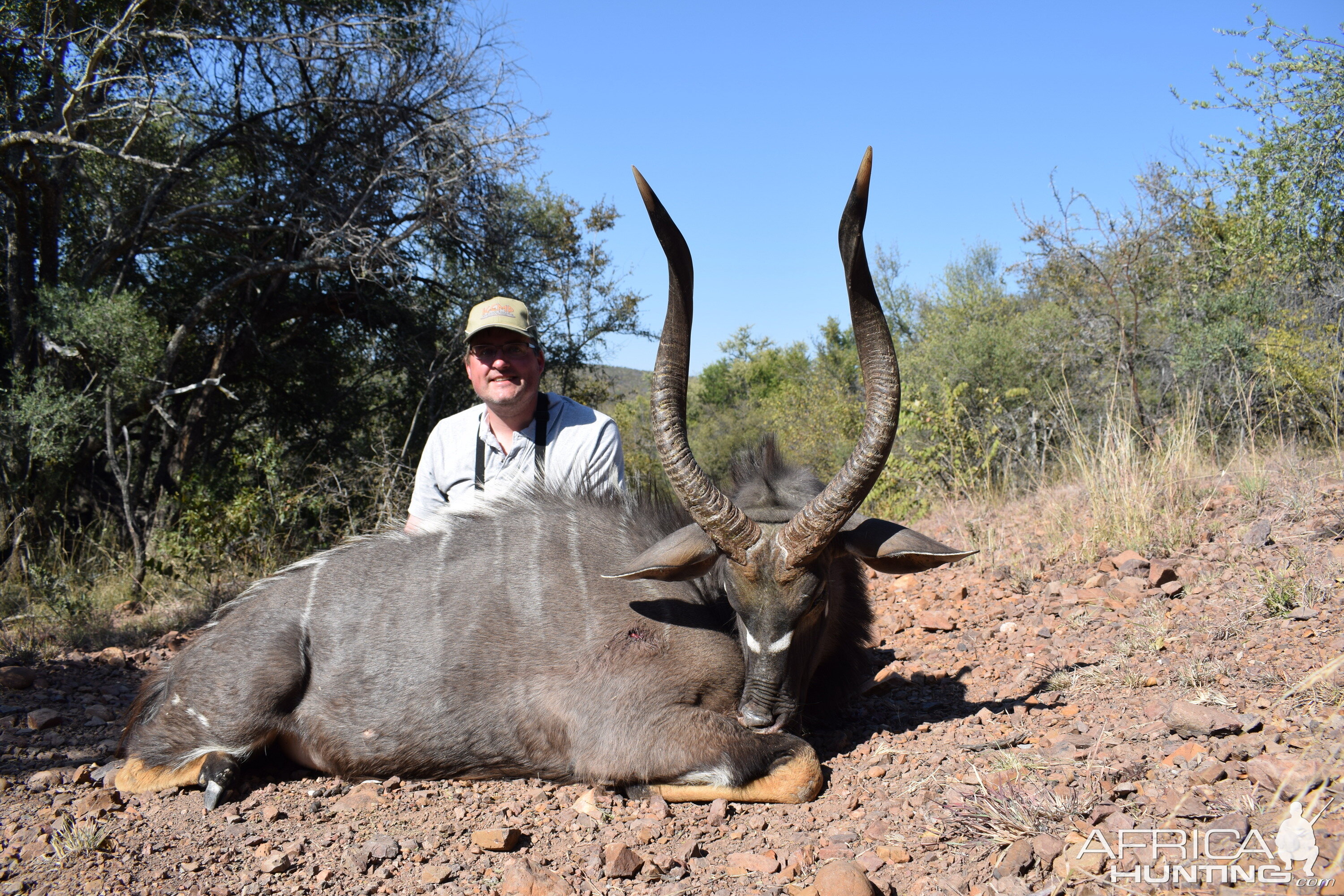 Nyala Hunting South Africa