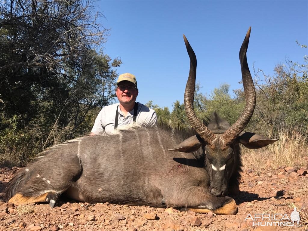 Nyala Hunting South Africa